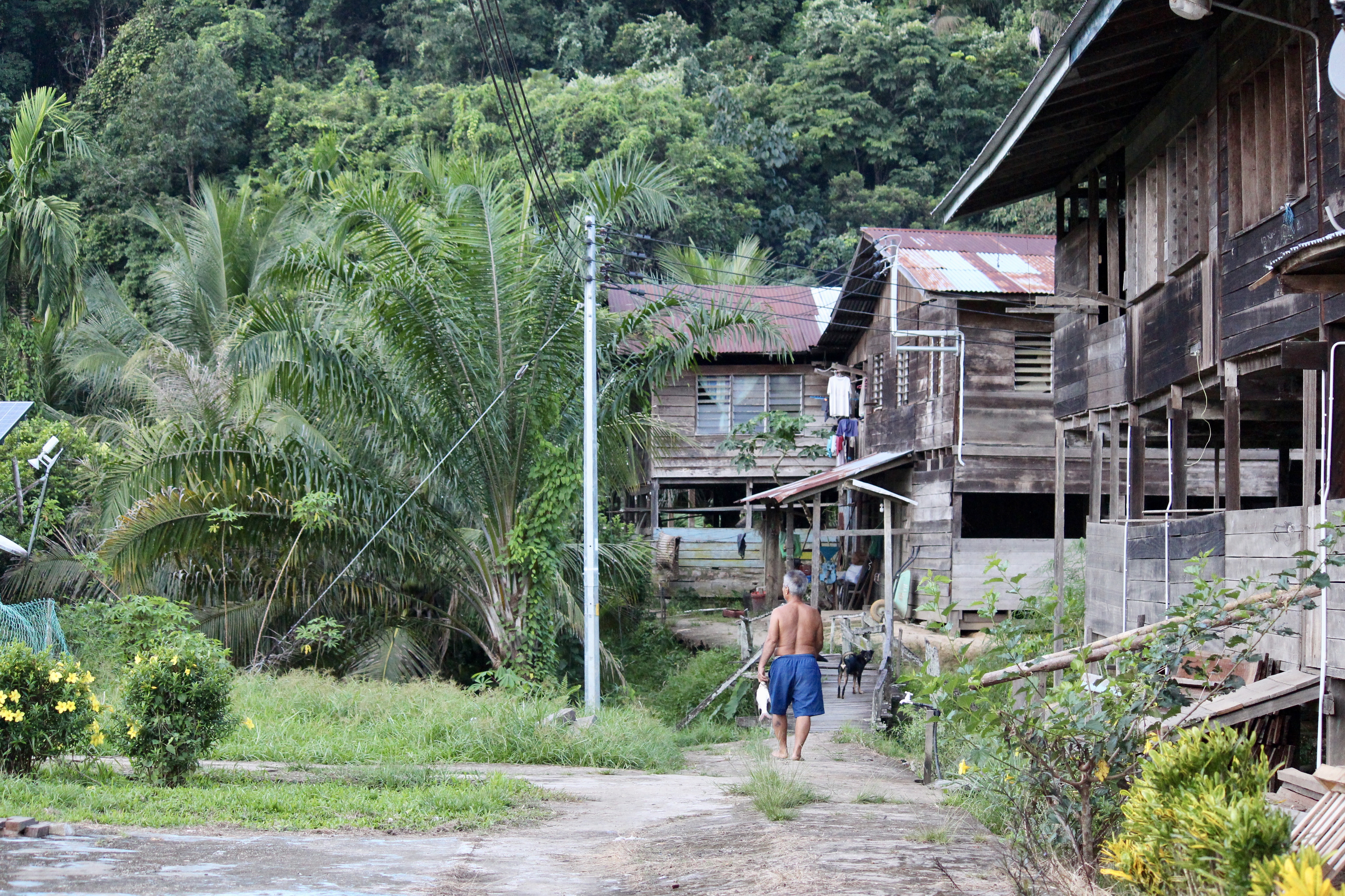 Several communities dependent on forests in Baram and Limbang districts are against logging in these areas