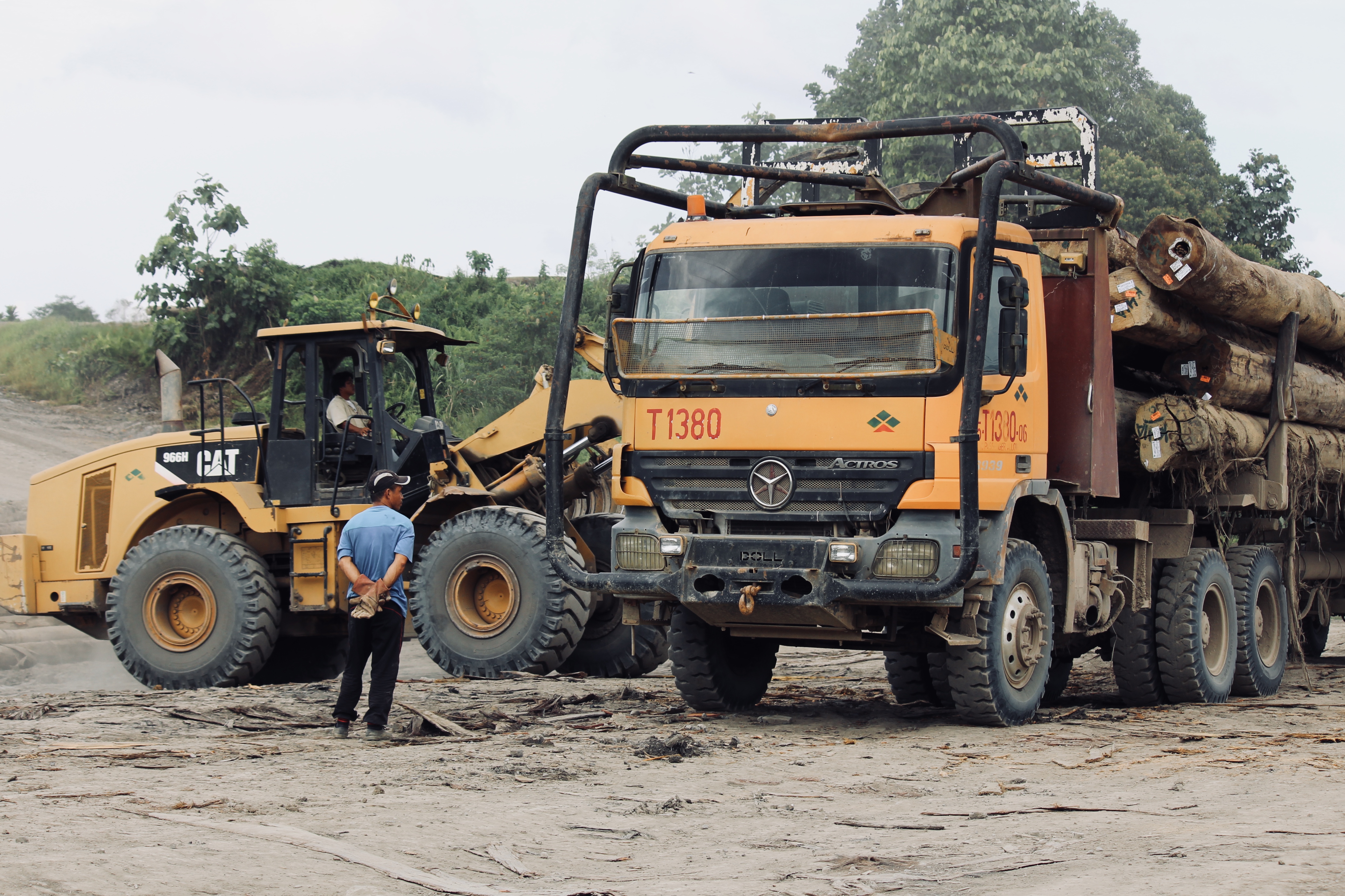 A logging truck belonging to the company Samling transports tropical wood from the Sarawak rainforest