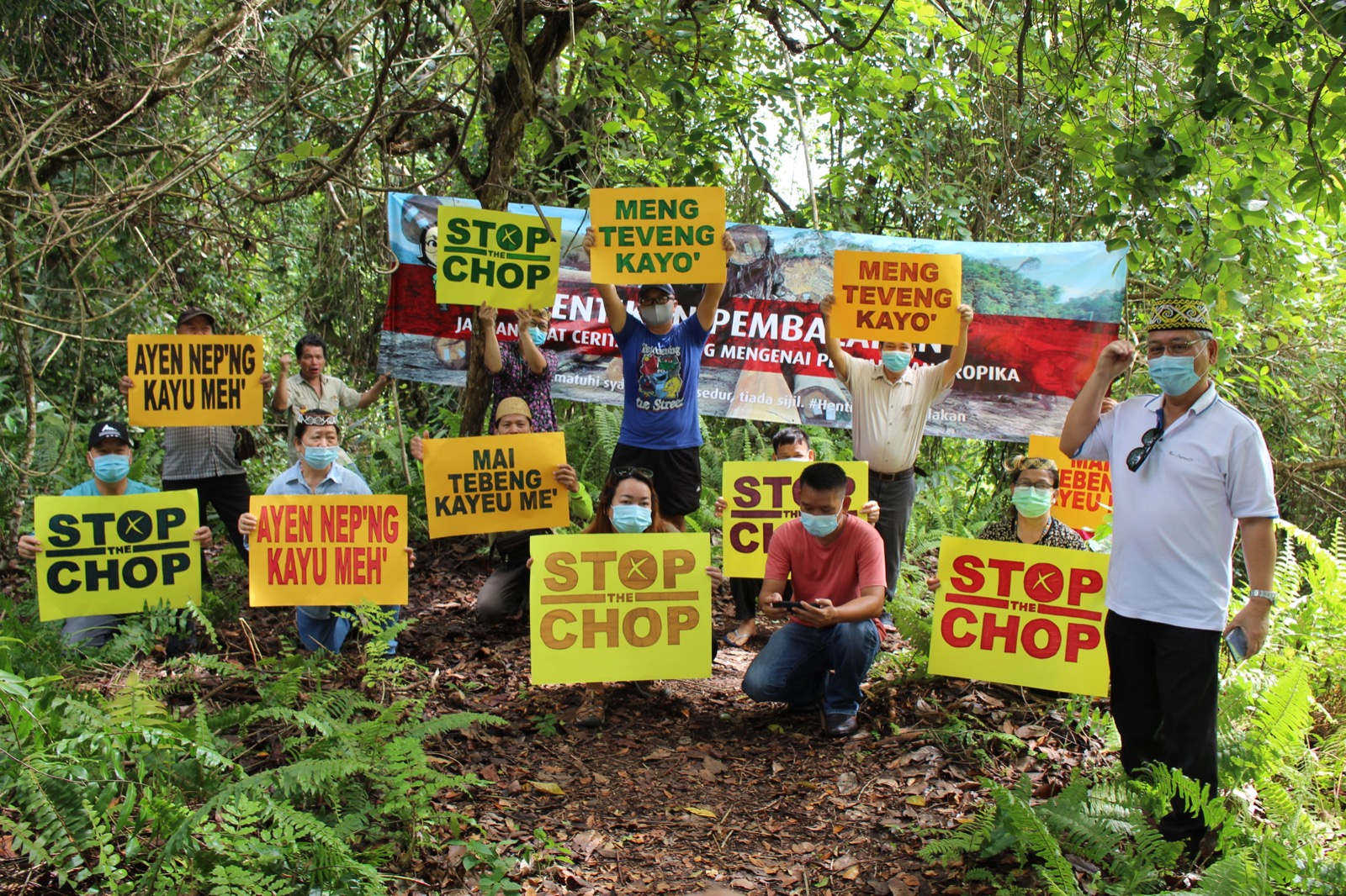 Campaigners say ‘Stop the Chop’ in the Sarawak rainforest