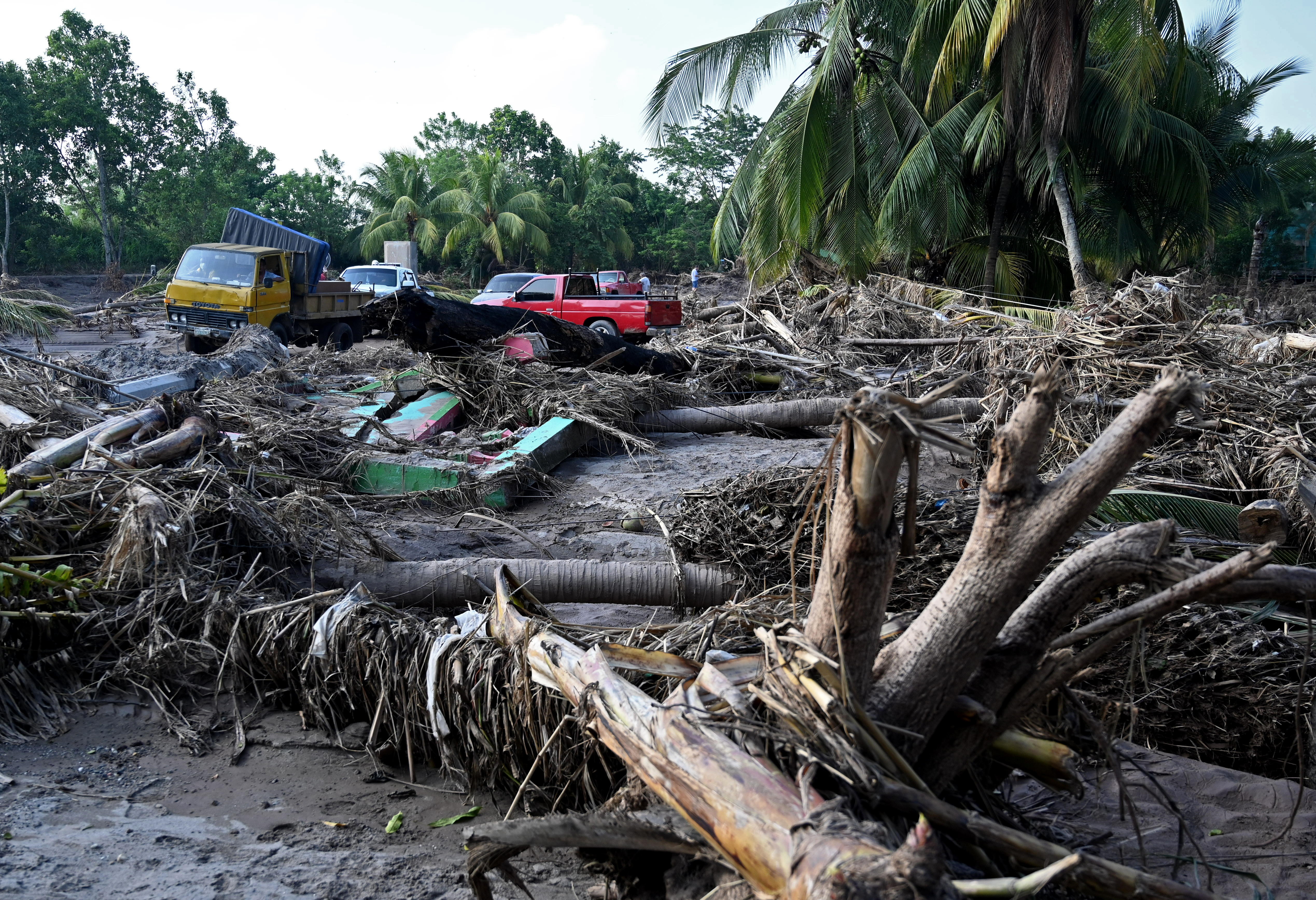Destruction at a banana field as workers prepared to evacuate El Progreso, Honduras, on November 14, 2020, before the arrival of tropical storm Iota
