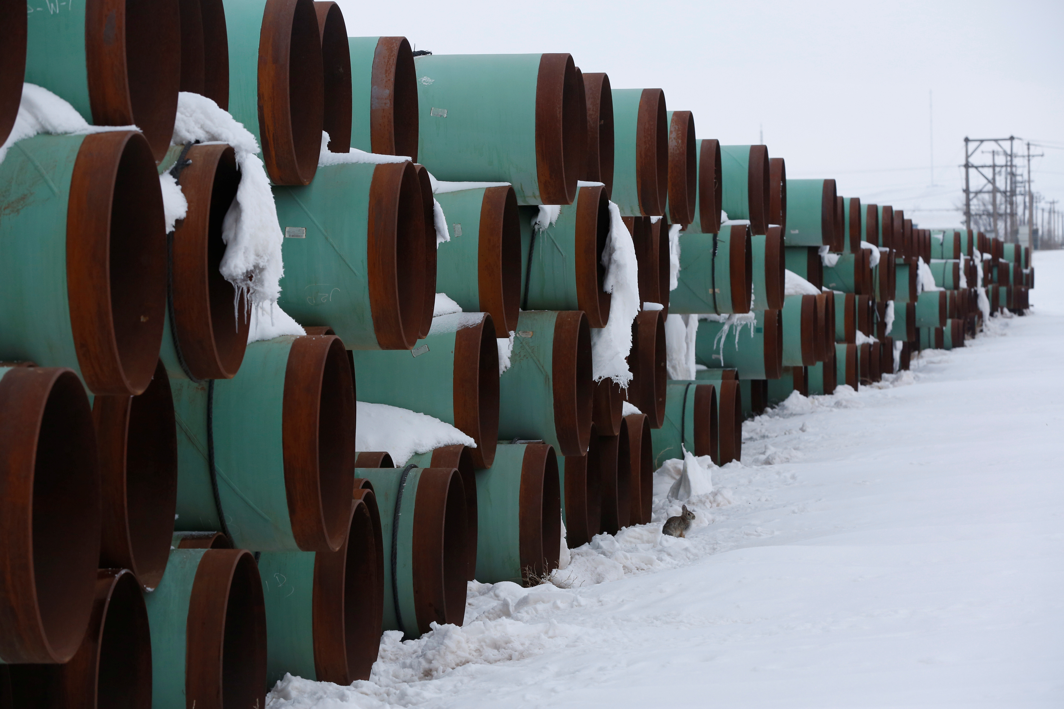 A depot used to store pipes for the planned Keystone XL oil pipeline is seen in Gascoyne, North Dakota, in January 2017
