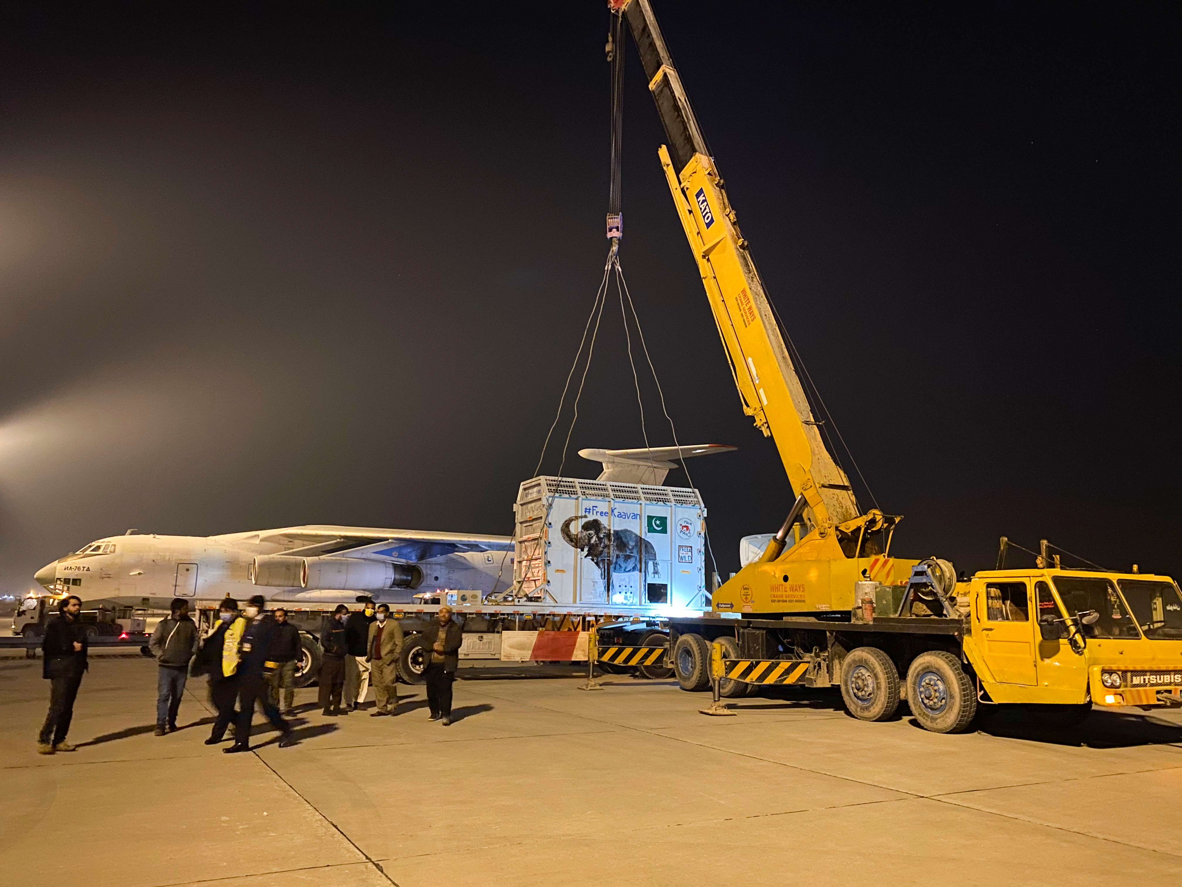 A crane lifts a crate carrying Kaavan at the Islamabad International Airport