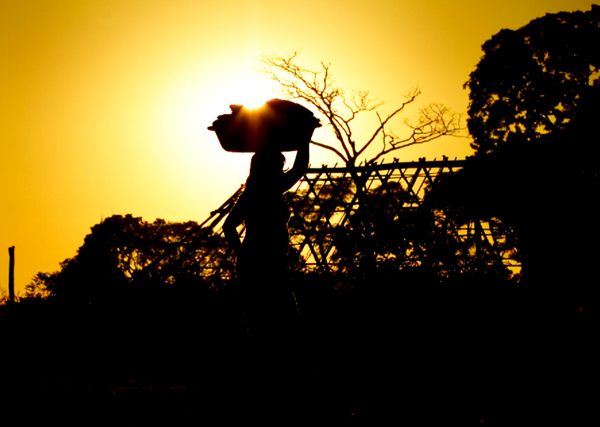 A Yawalapiti tribe member carries wild manioc just after sunrise in her Alto Xingu village in the lower Amazon region. Manioc is a staple of the Yawalapiti, although poisonous when raw. The women must grate and wash it, which removes the poison, then dry it in cakes or ‘beiju’