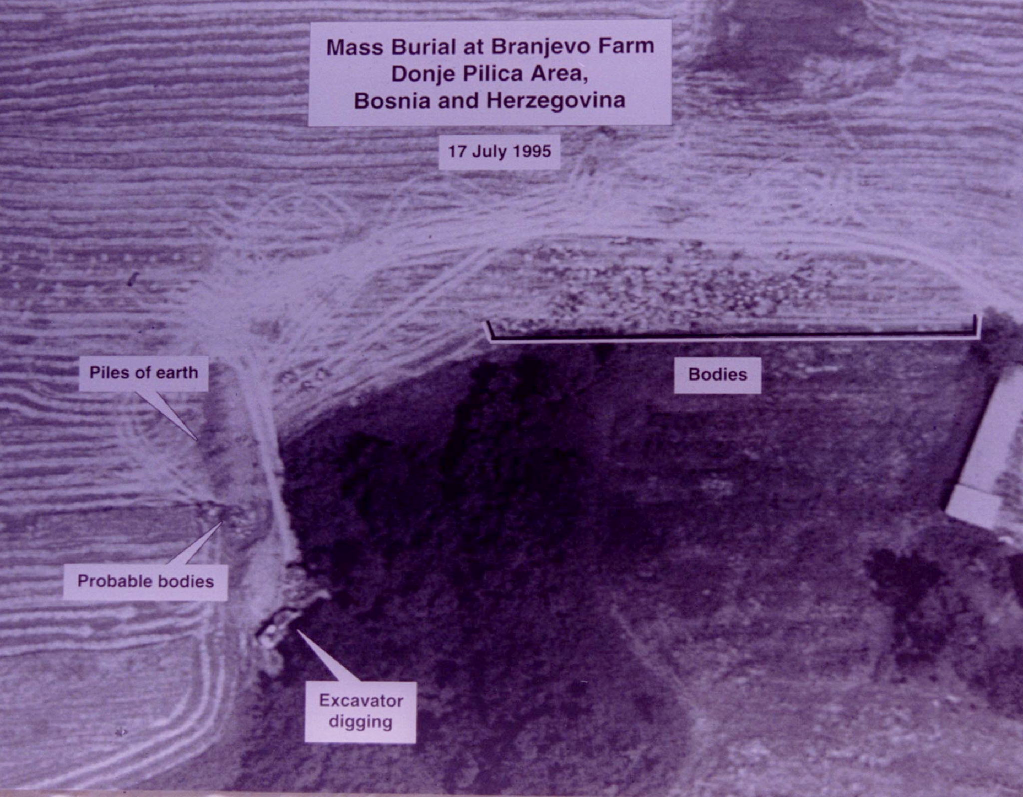 An aerial photo provided by the US shows suspected mass graves near the village of Janja, northeast Bosnia. Many mass graves have been discovered, thanks to satellite, aerial imagery provided by US planes which showed disturbances in the ground