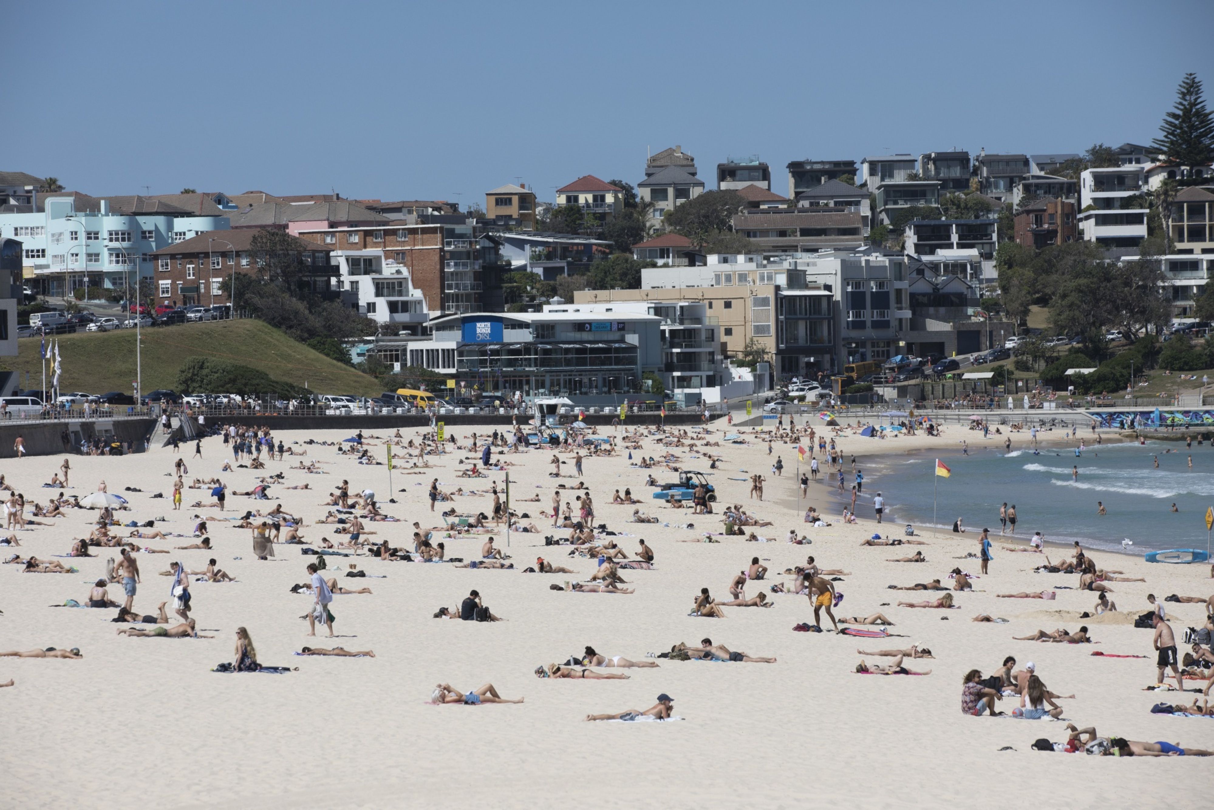 Searching for ‘best beach Sydney’ on Google returns Bondi Beach in Australia’s biggest city