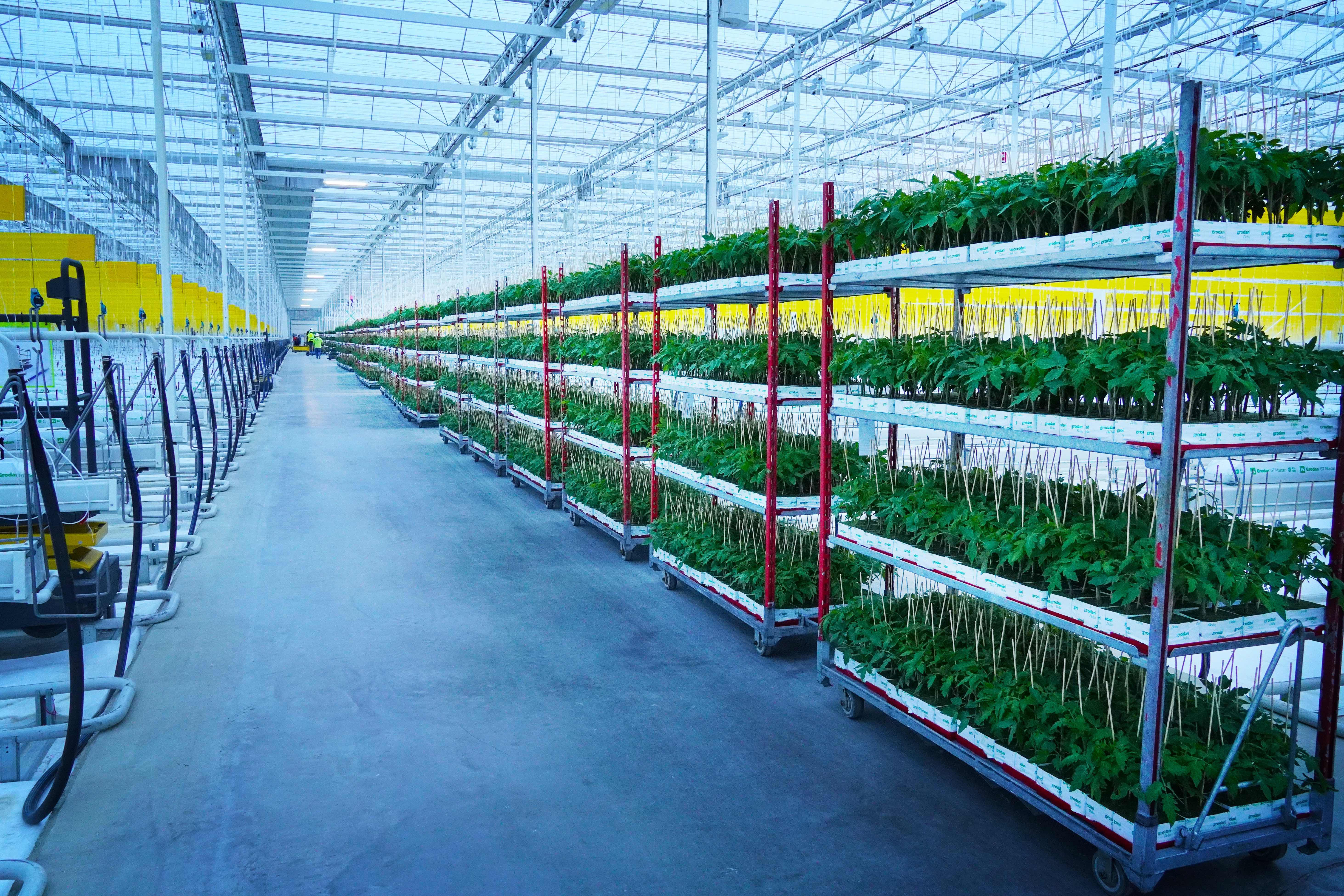 AppHarvest aims to operate 12 facilities by 2025
