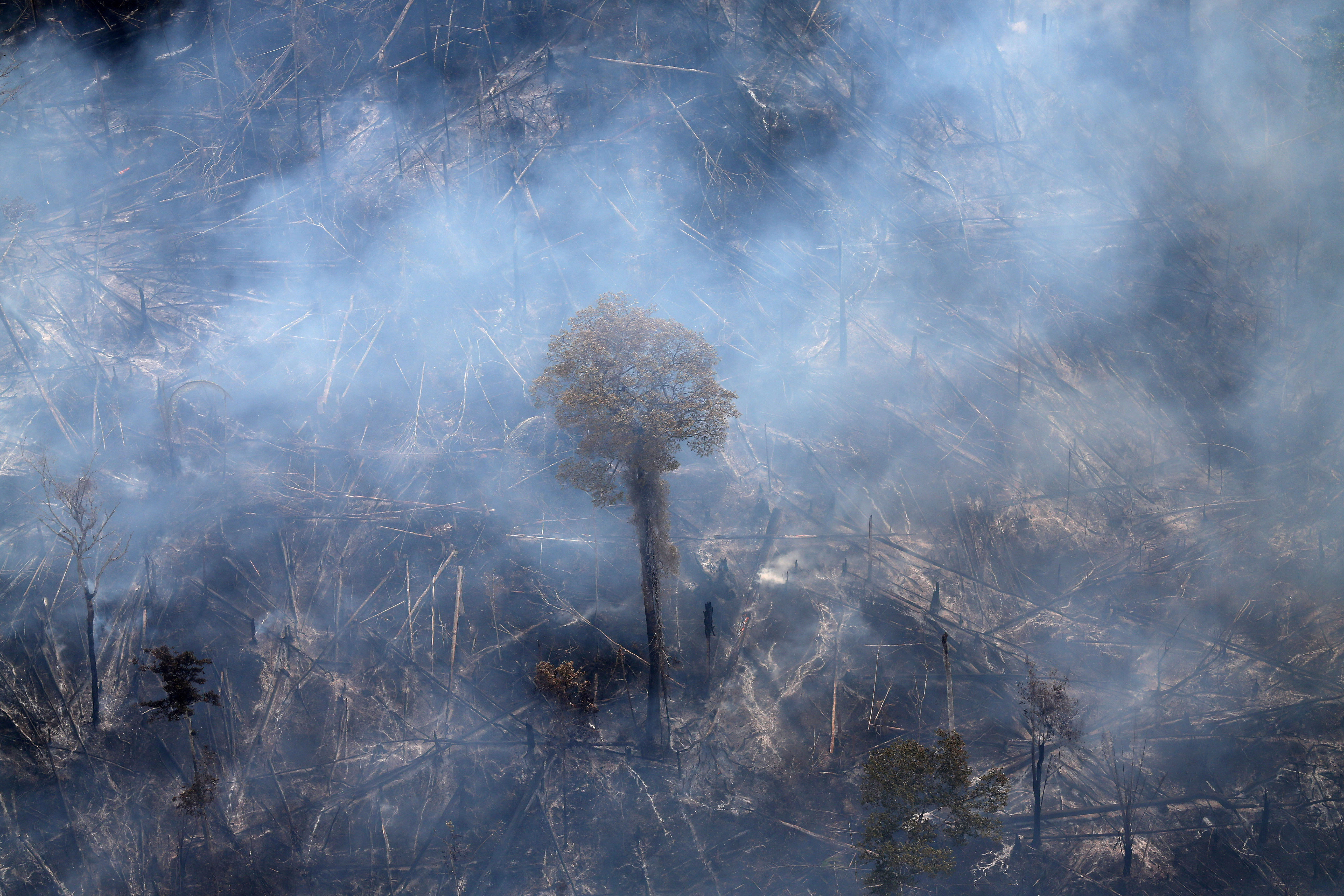In 2020, despite the coronavirus pandemic, Amazon deforestation surged to a 12-year high with 11,088 square kilometres of forest felled
