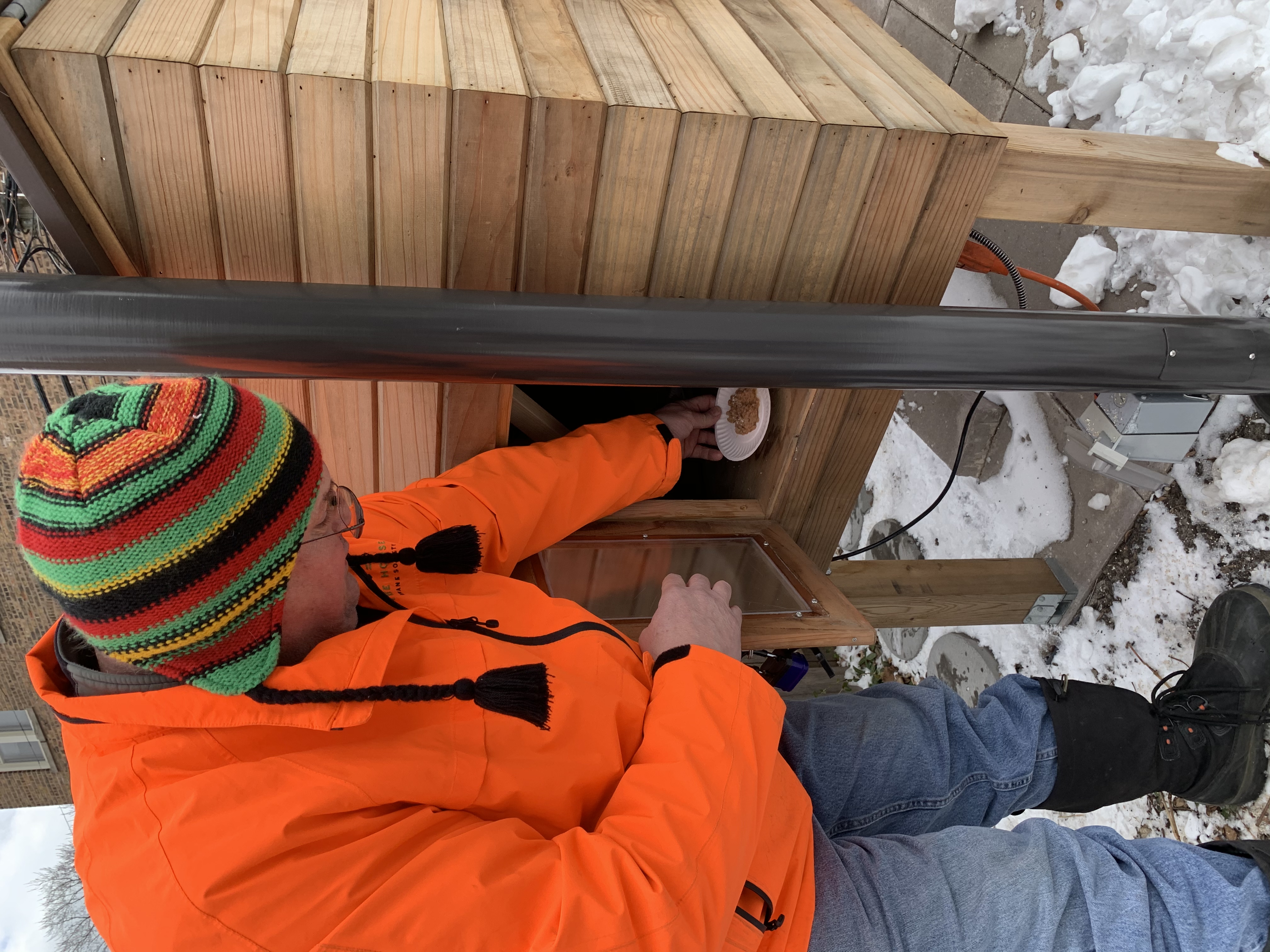 A volunteer places food inside one of Tree House Humane Society’s outdoor shelters used in its Cats at Work programme [Coutesy: Tree House Humane Society]