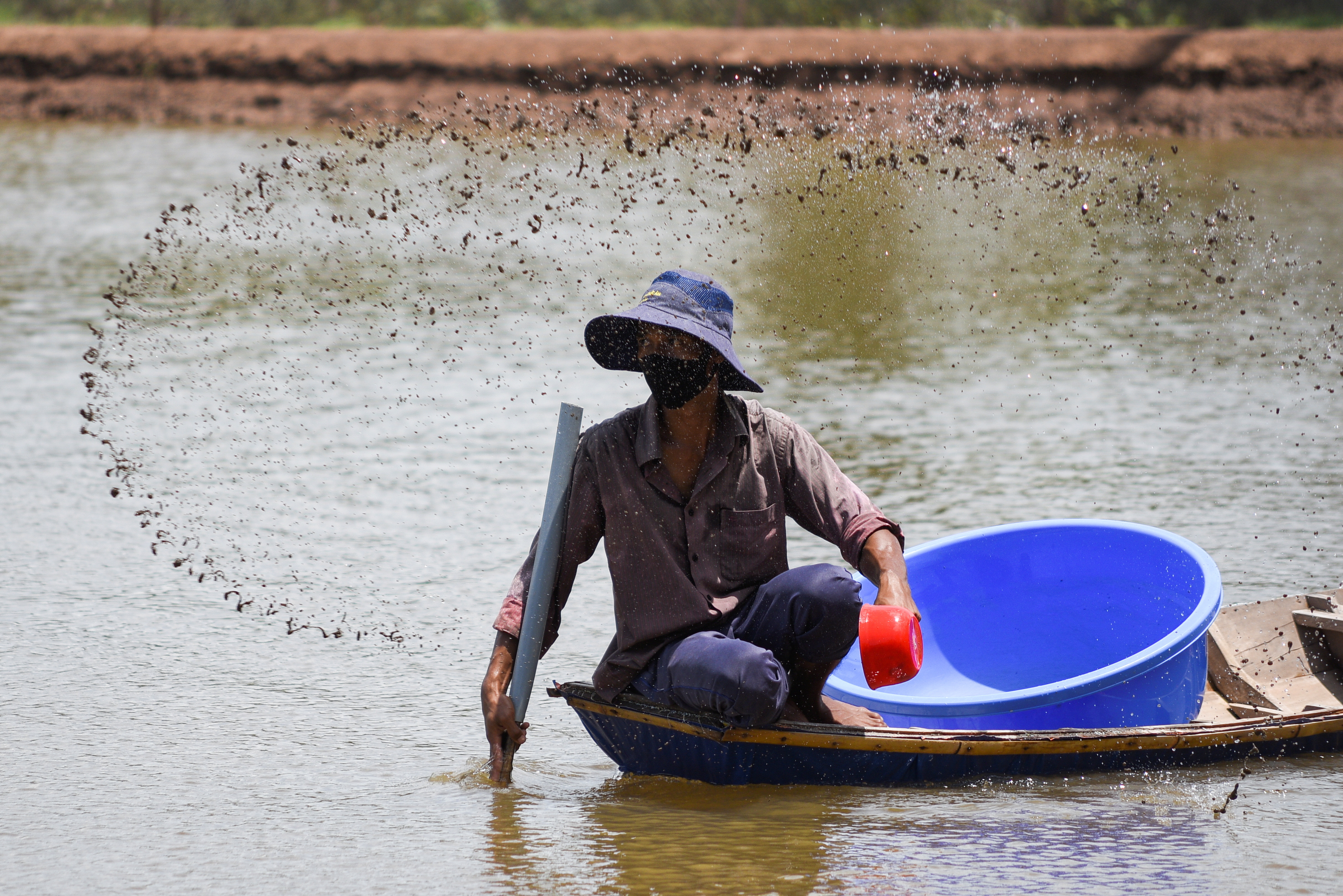 More than half of Vietnam’s natural mangrove forests, which protect against coastal erosion and storm surges, have been cleared for shrimp ponds, according to an NGO