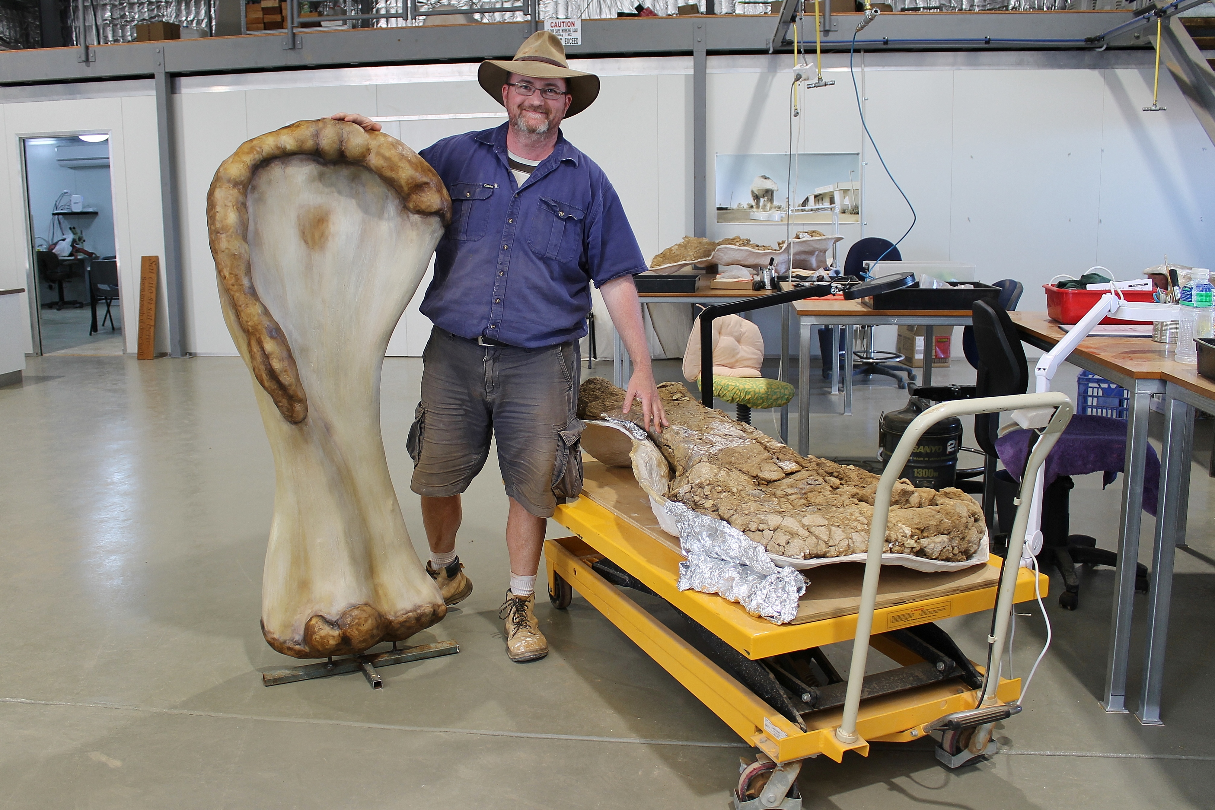 Scott Hocknull poses with a 3D reconstruction and the humerus bone of Cooper, a new species of dinosaur discovered in Queensland and recognised as the largest-ever found in Australia