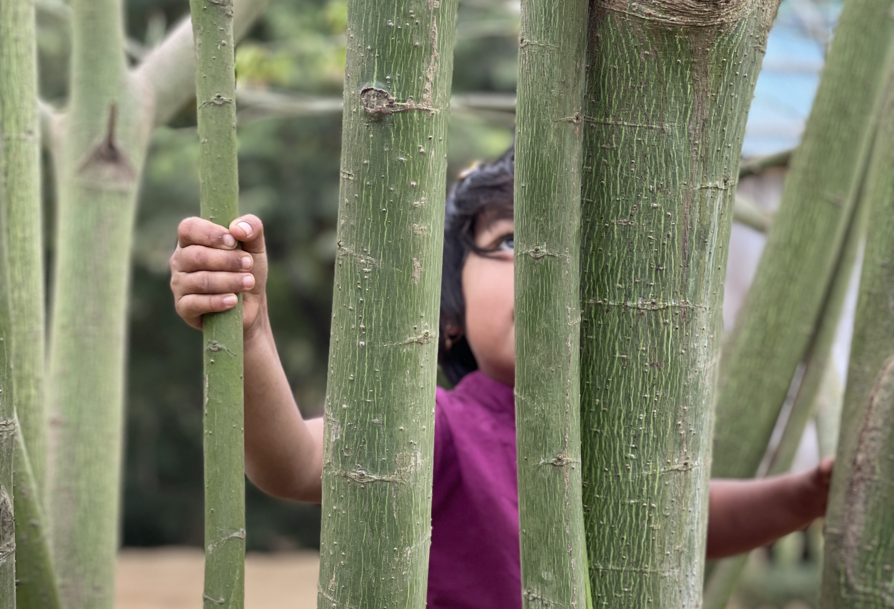 An Indigenous child in the Chittagong Hill Tracts, Bangladesh