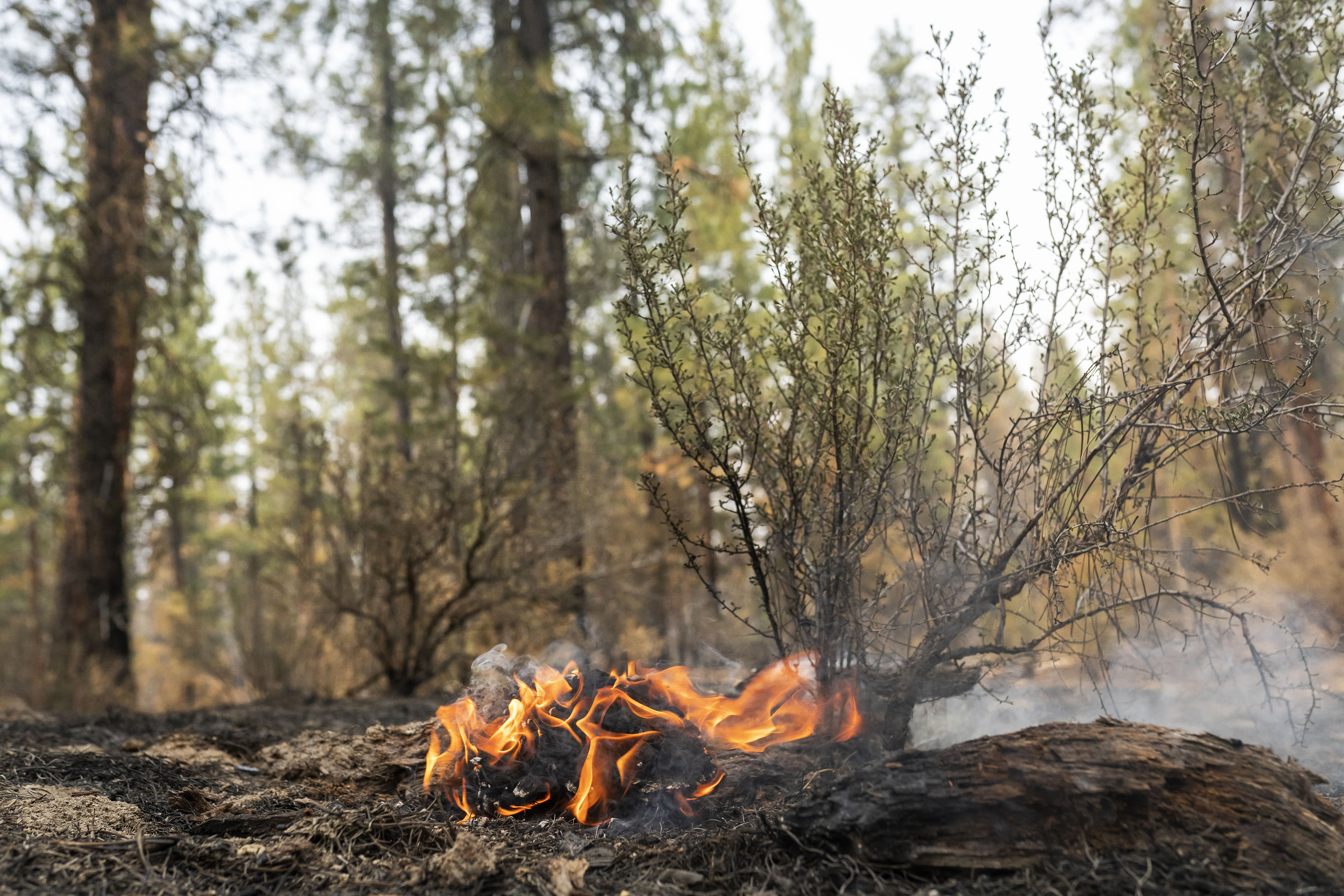 A hotspot flares up on the North East side of the Bootleg Fire on July 14, 2021, near Sprague River, Oregon