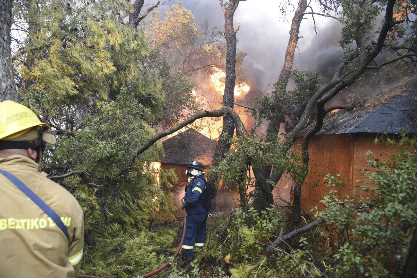 Greece is hit by forest fires every summer, but experts have warned that global warming increases their frequency and intensity