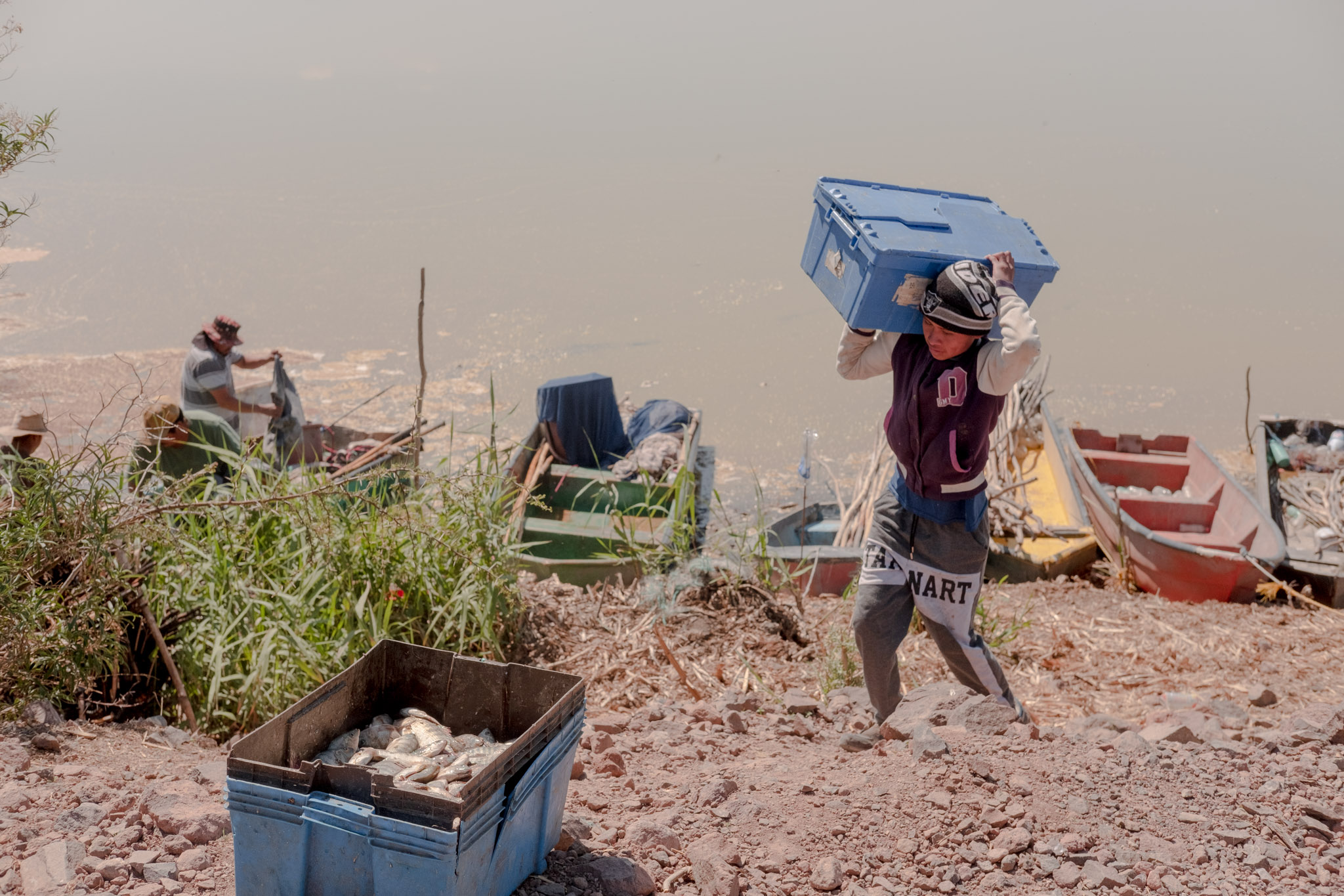 A 16-year-old boy carries a box full of fish ashore. Behind him, the other fishermen unload the rest of the fishing gear