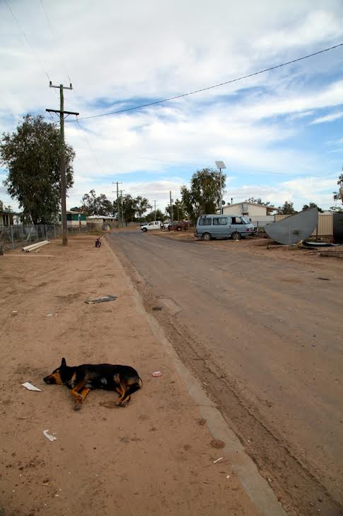 A dog sleeps by the roadside in an Aboriginal community in the west of New South Wales