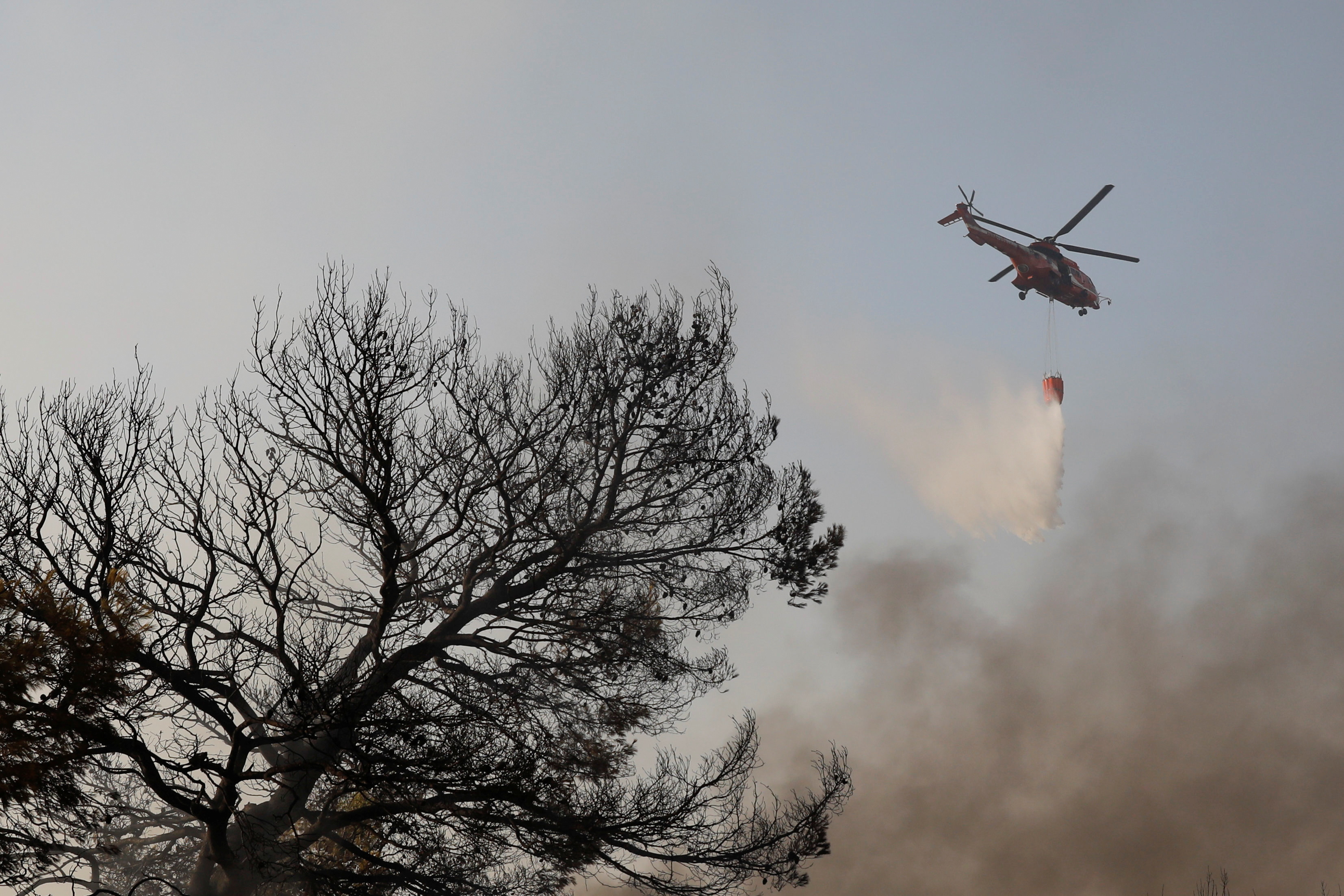 Experts have warned climate change is increasing the frequency and intensity of wildfires in the Mediterranean