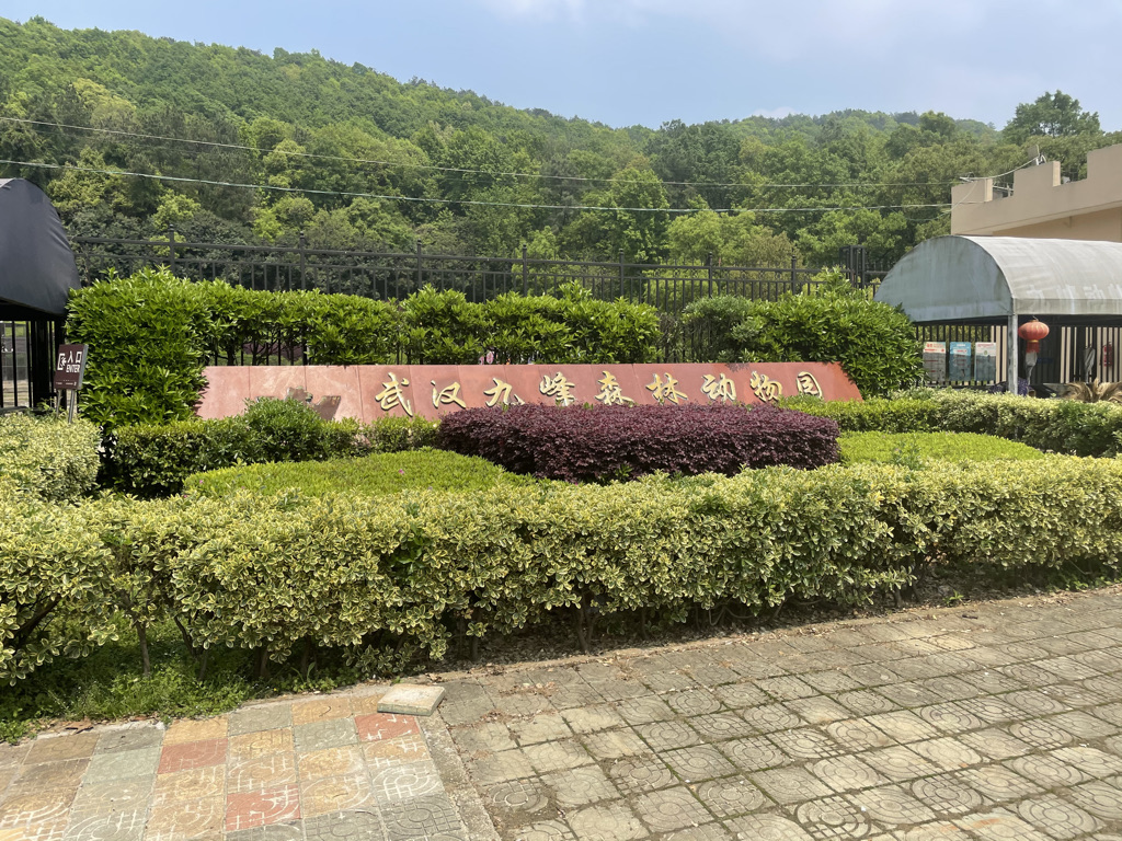 The Jiufeng Forest Zoo has remained shut since the day before Wuhan was locked down in January 2020 to prevent the spread of the coronavirus