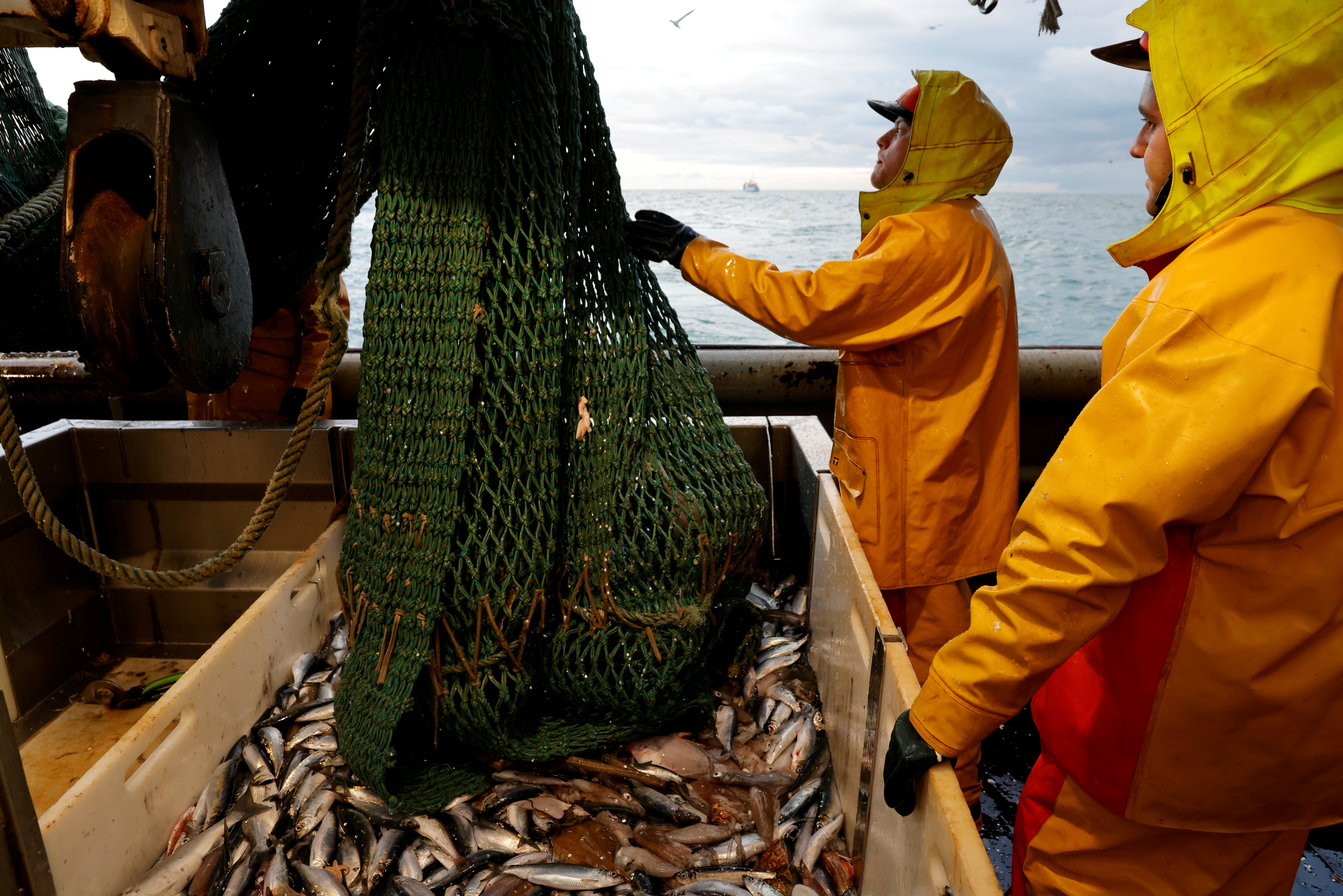Fishing rights have been a major point of contention between France and the UK in recent months