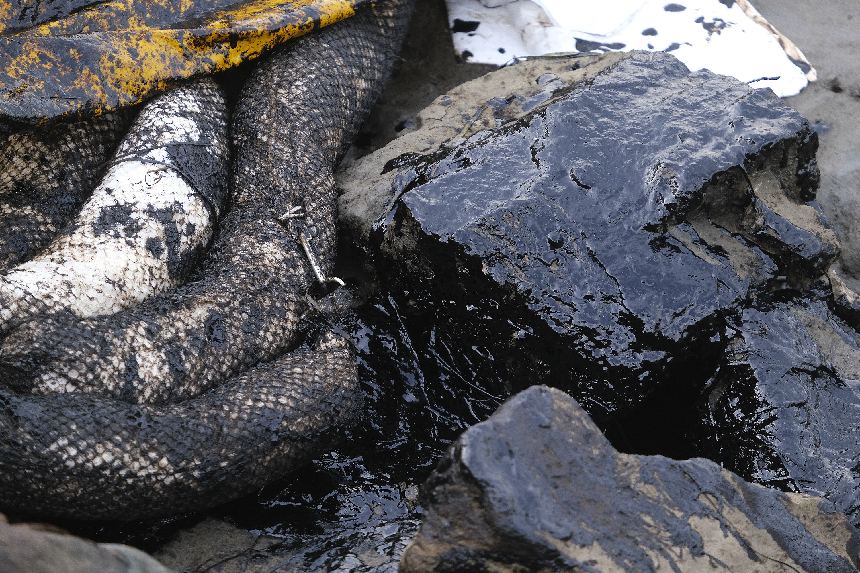 Cleaning crews scrambled on Sunday to contain the crude before it spread further into protected wetlands