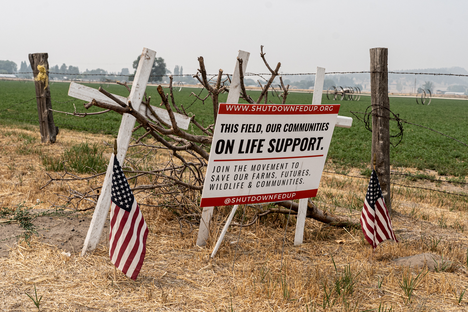 Tulelake, California: It’s easy to see which fields have been irrigated, without water the ground is dry and brown. Farmers and ranchers have organised against the government’s decision to shut off the water