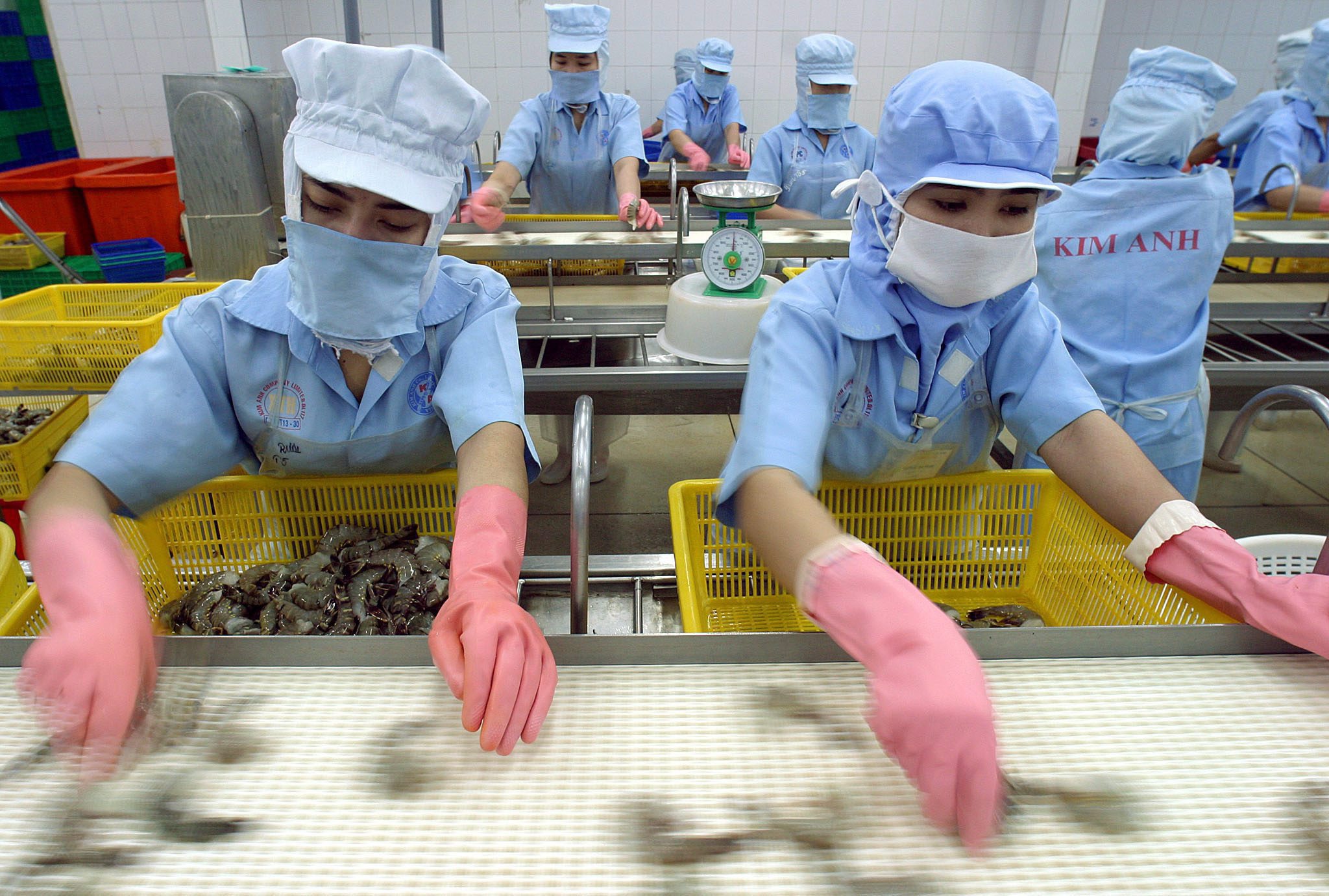 Rice farmers are also being encouraged to get into aquaculture, farming prawns and shrimp in the increasingly salty water