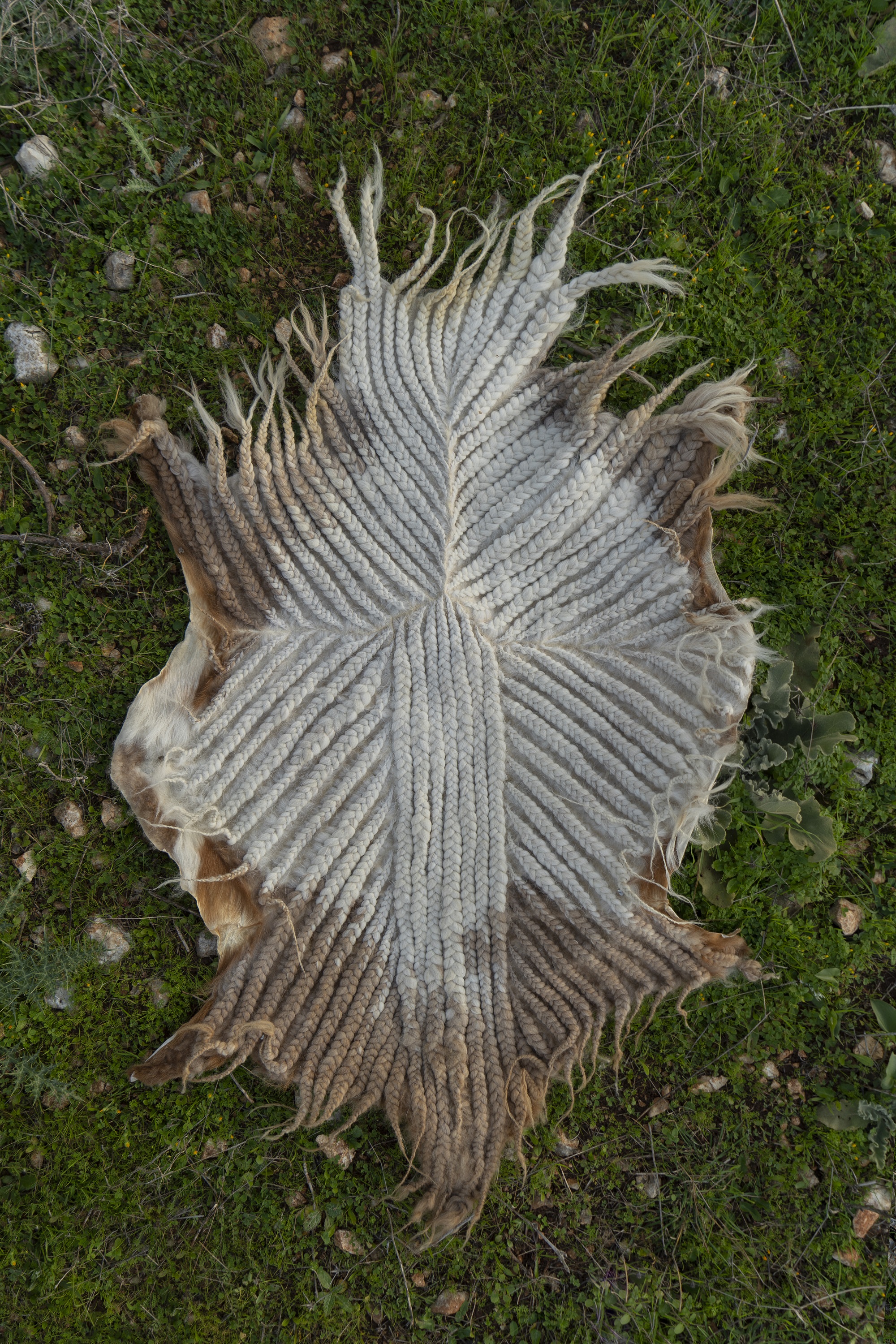 One of Adrian Pepe’s carpets made with Awassi wool, a design he hopes will inspire other creators to follow his lead [Courtesy of Adrian Pepe]