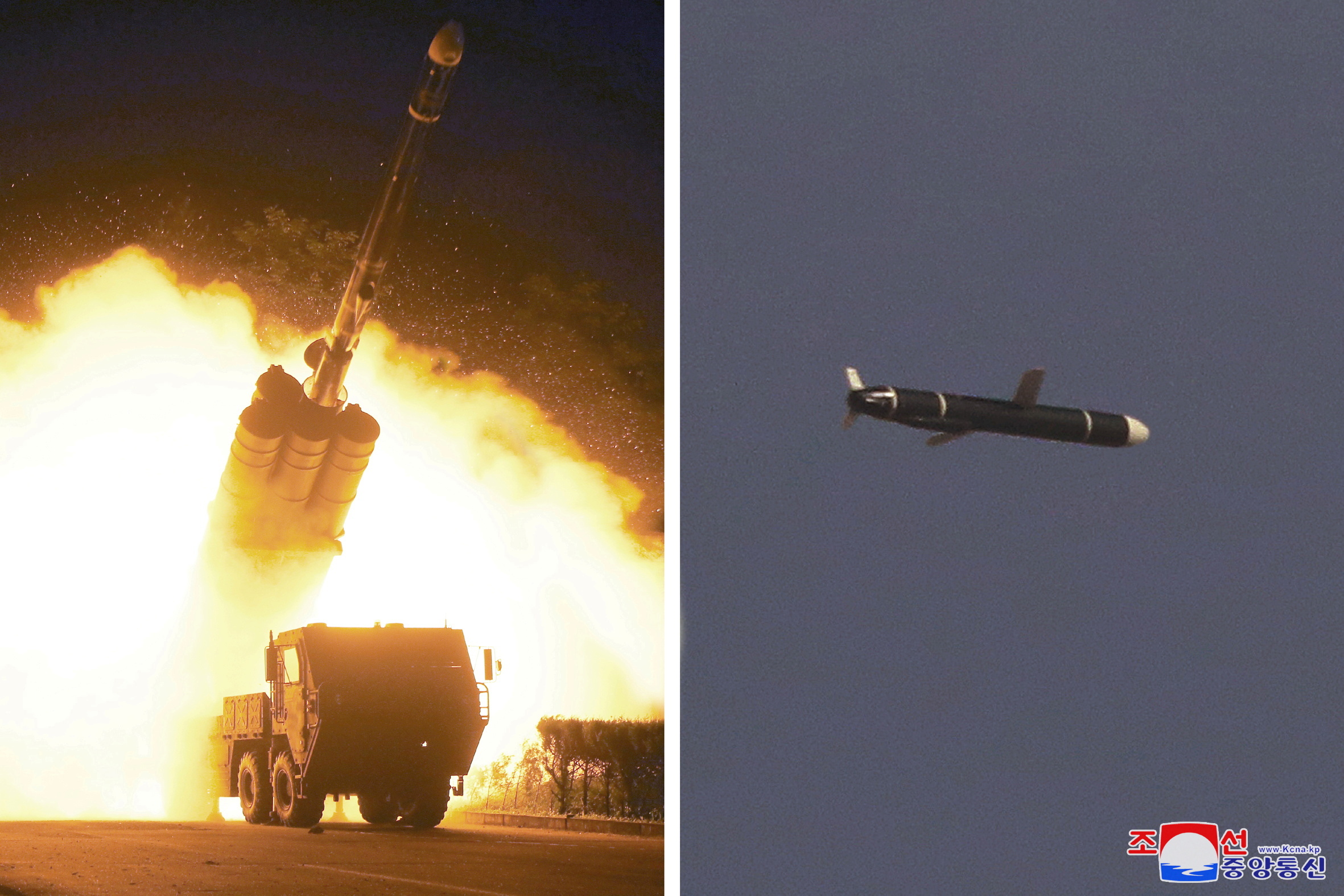 Cruise Missile
