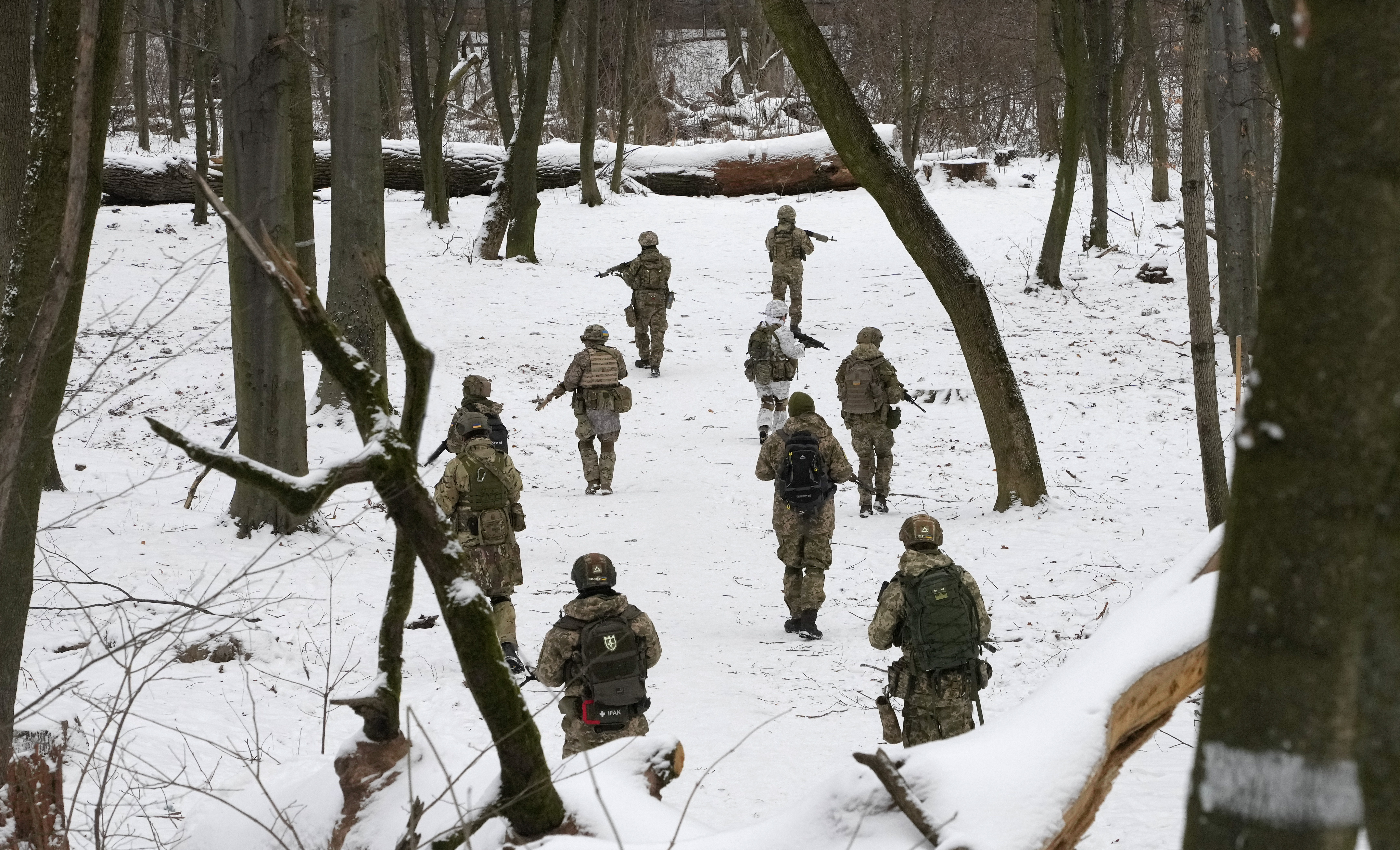 Members of Ukraine's Territorial Defence Forces, volunteer military units of the Armed Forces, train in a city park in Kyiv, Ukraine