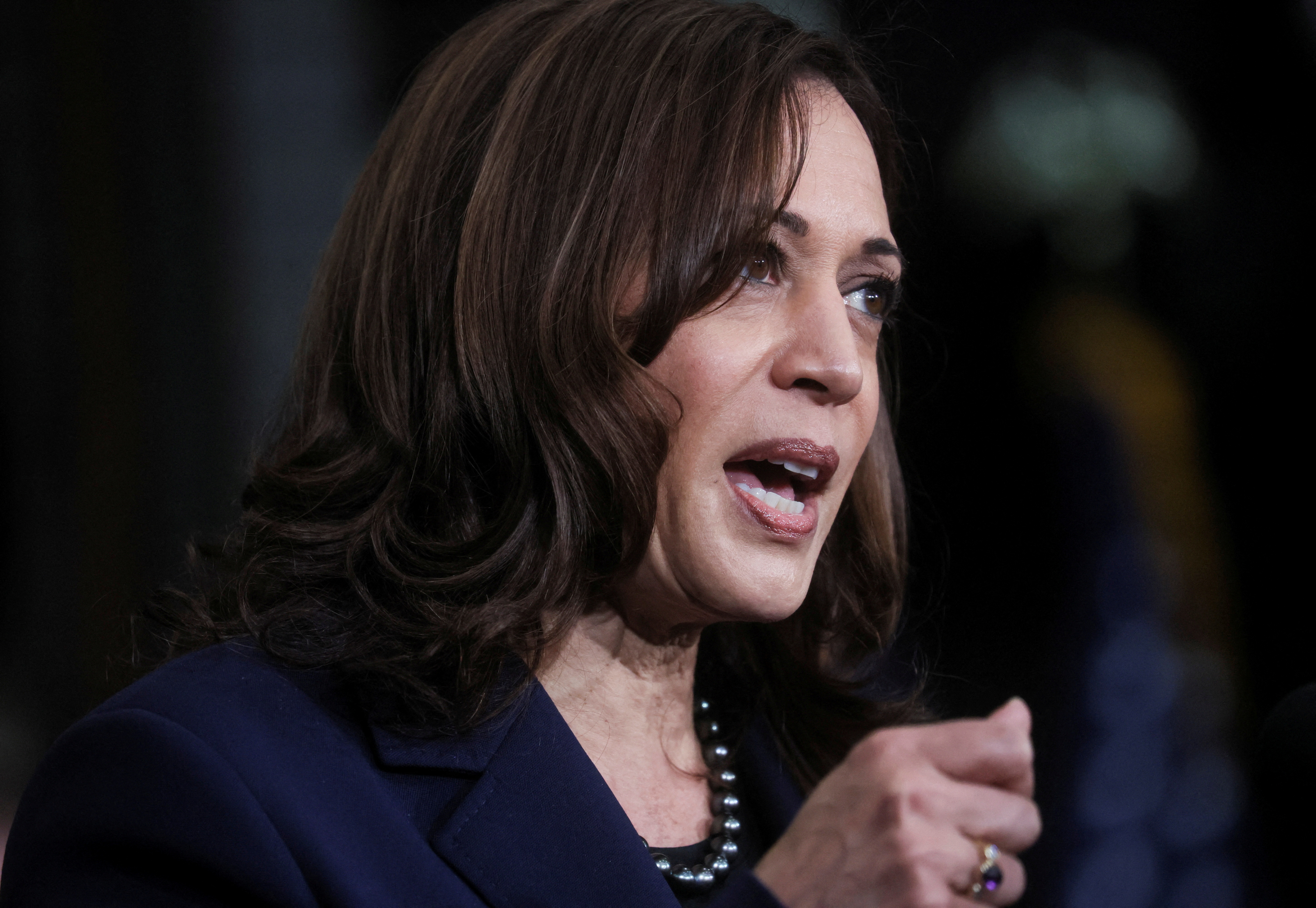 Vice President Kamala Harris speaks.