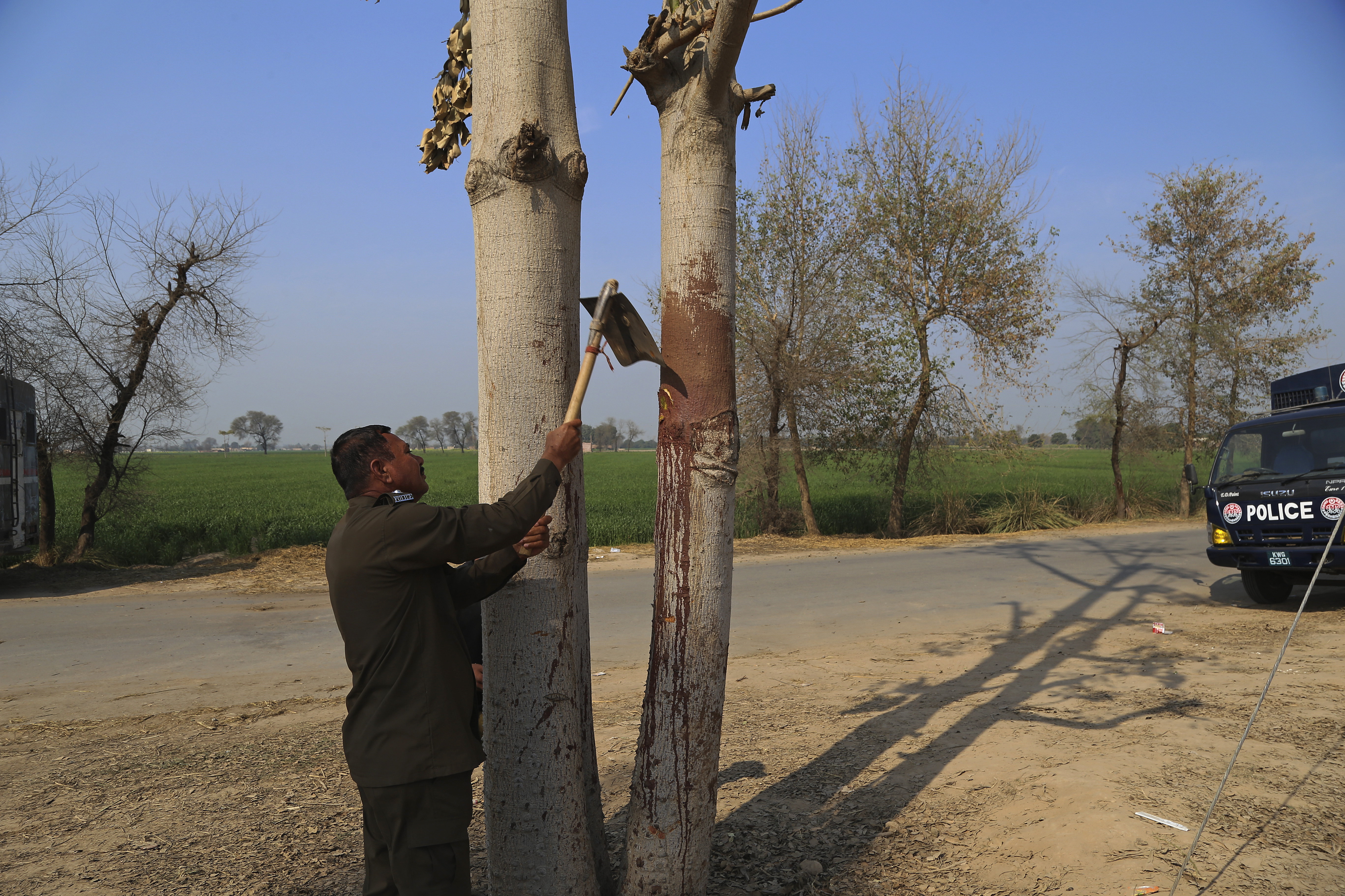 A police officer takes a sample from a blood-stained tree, where the mob hung the body of Mushtaq in Khanewal