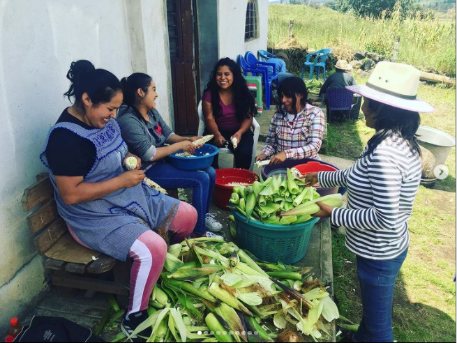 A traditional offering with corn for Day of the Dead in Pátzcuaro, Michoacán
