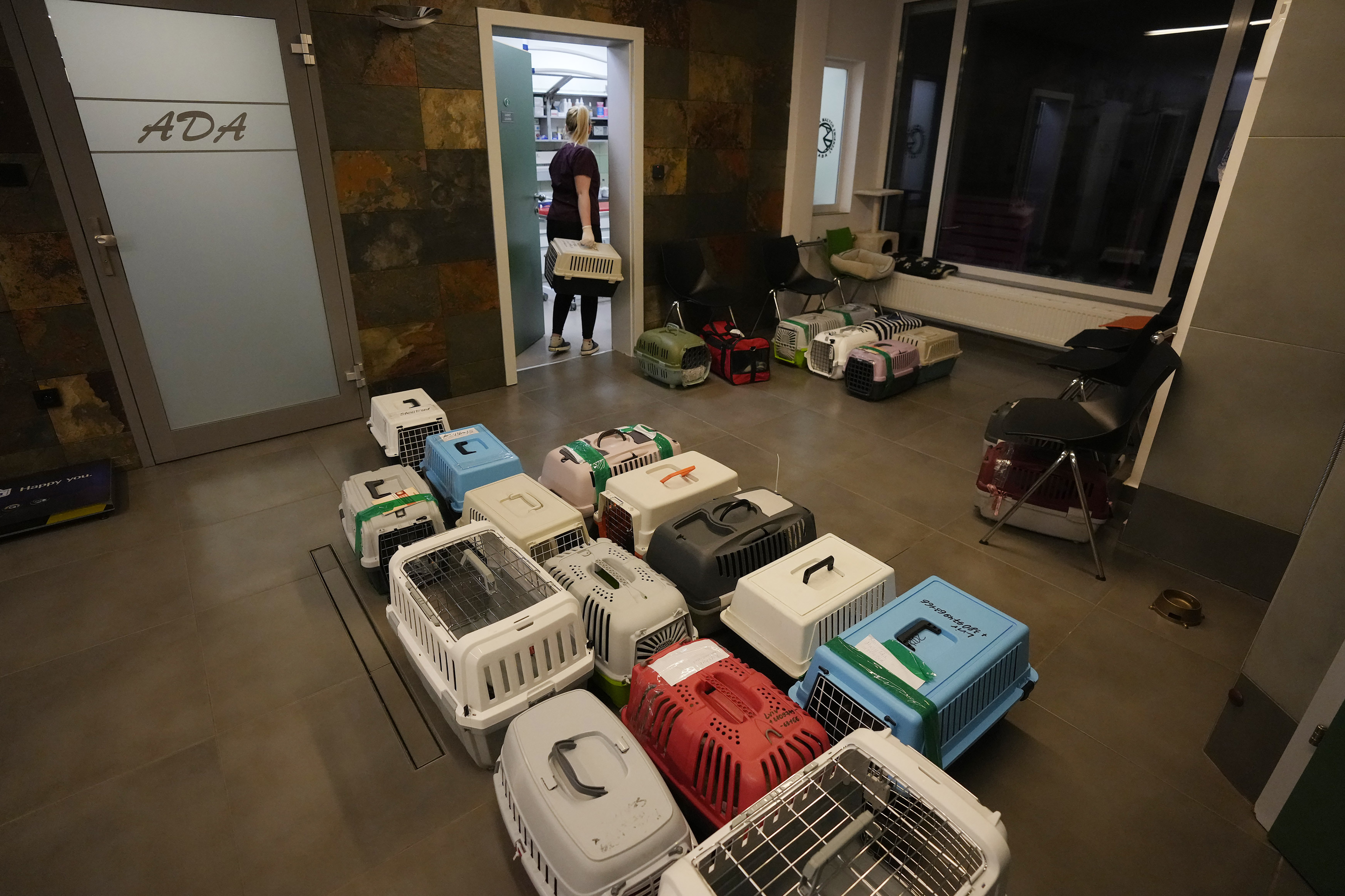 More than two million of those crossed the border to Poland, where the AFP news agency has witnessed droves of animal lovers ferrying dogs, cats, parrots and turtles to safety.
