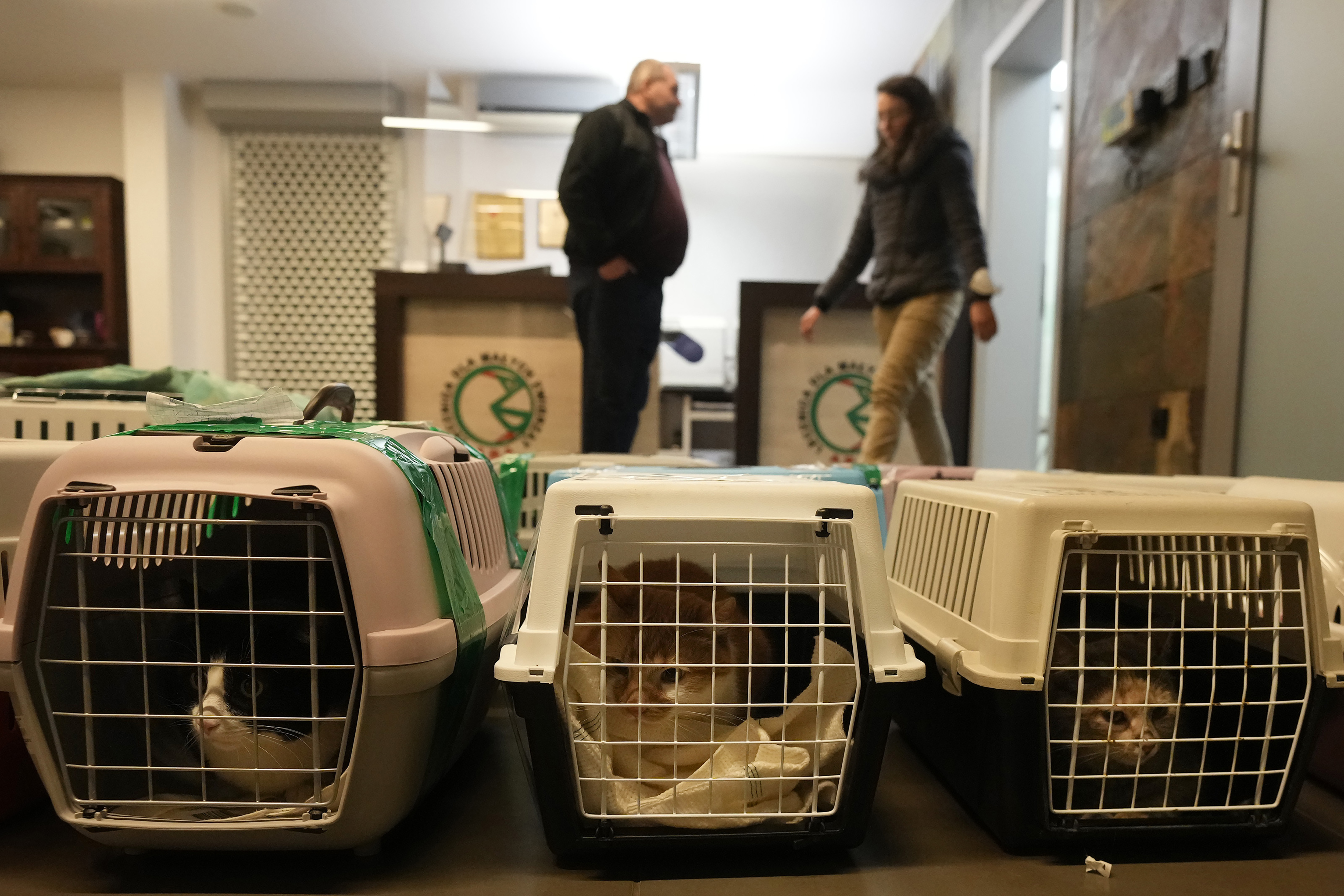 ADA Foundation in Przemysl in Poland gives shelter to abandoned animals such as cats, dogs, goats, and even bears