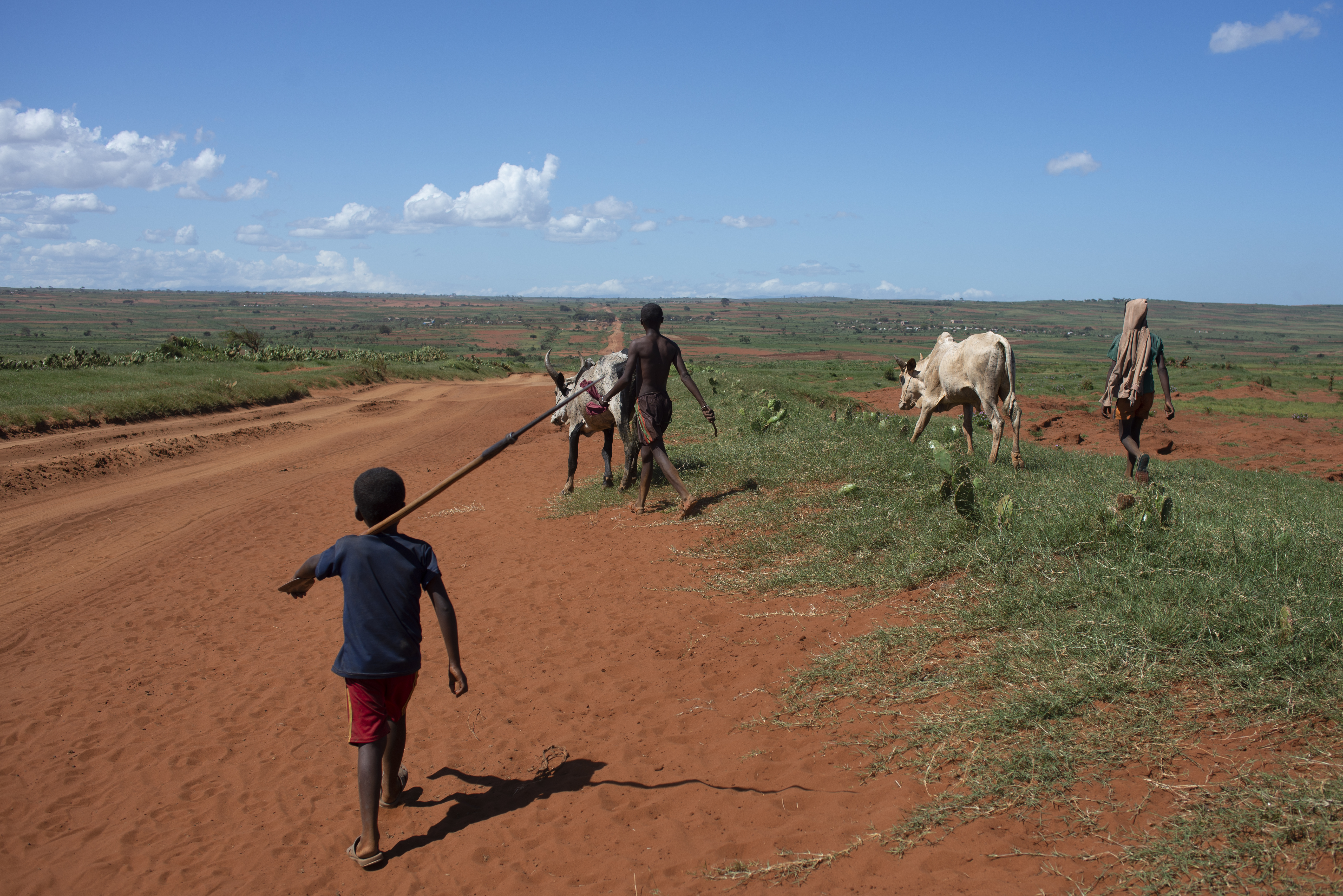 Madagascar Hunger