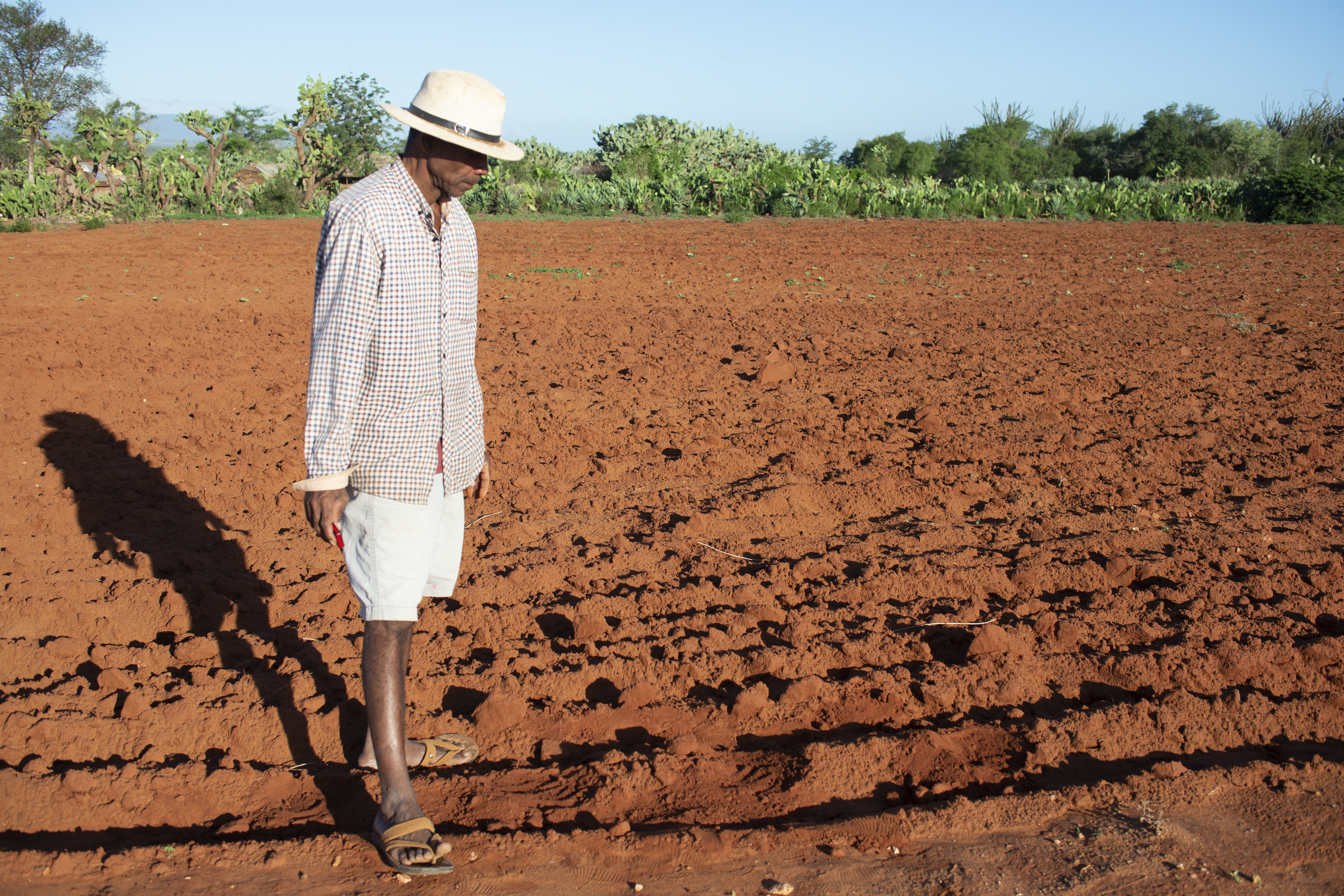 Madagascar Hunger