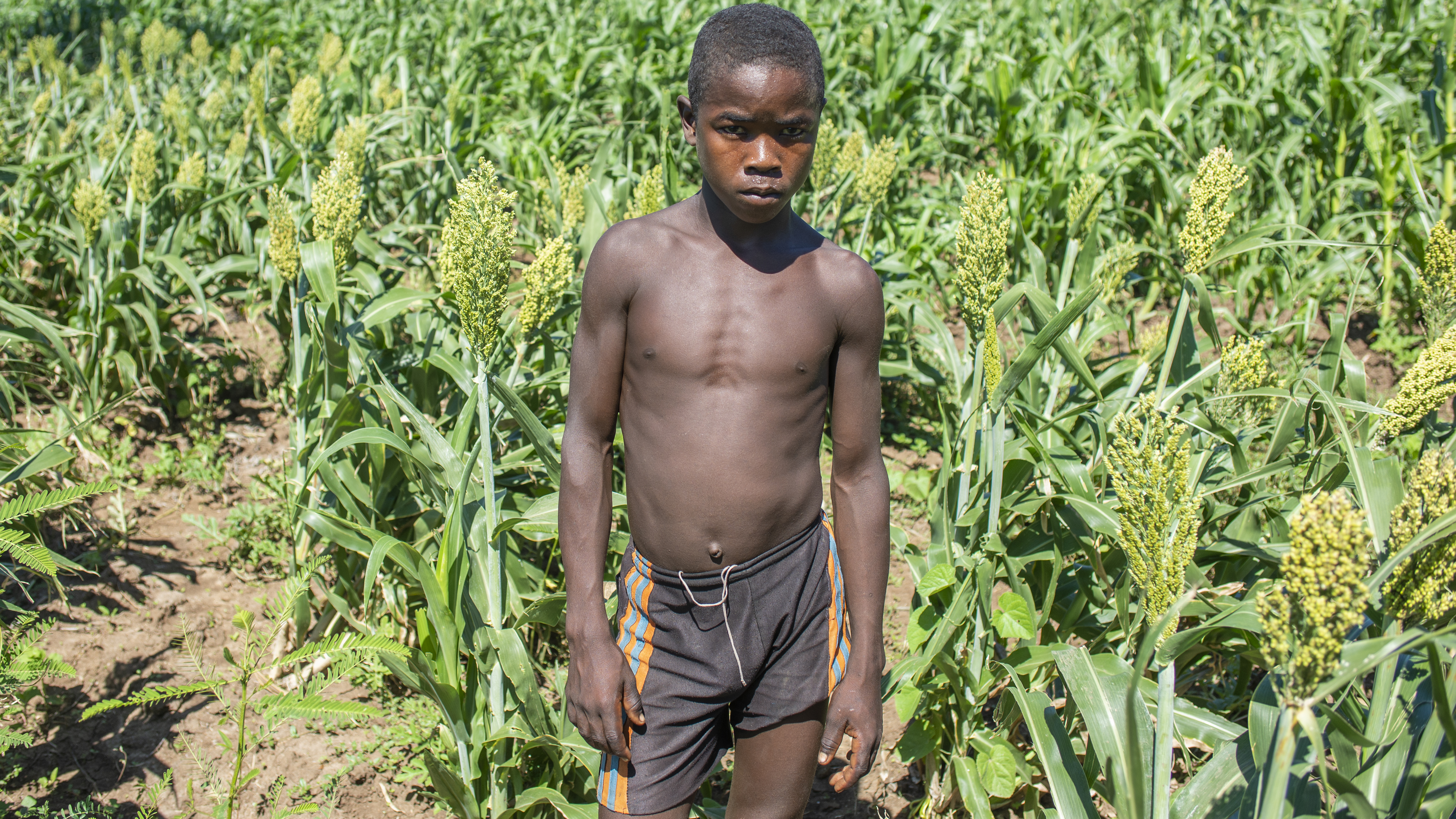Madagascar Hunger