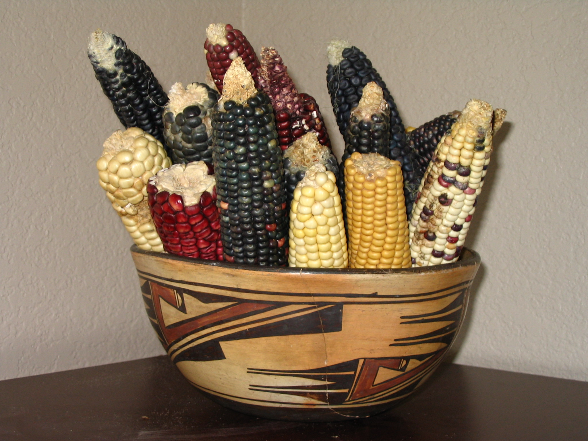 The many colours bred into Hopi corn are still associated with directions across the landscape; yellow suggests northward; white, eastward; red, southward; and blue, westward. Purple signifies above and sweet corn, below