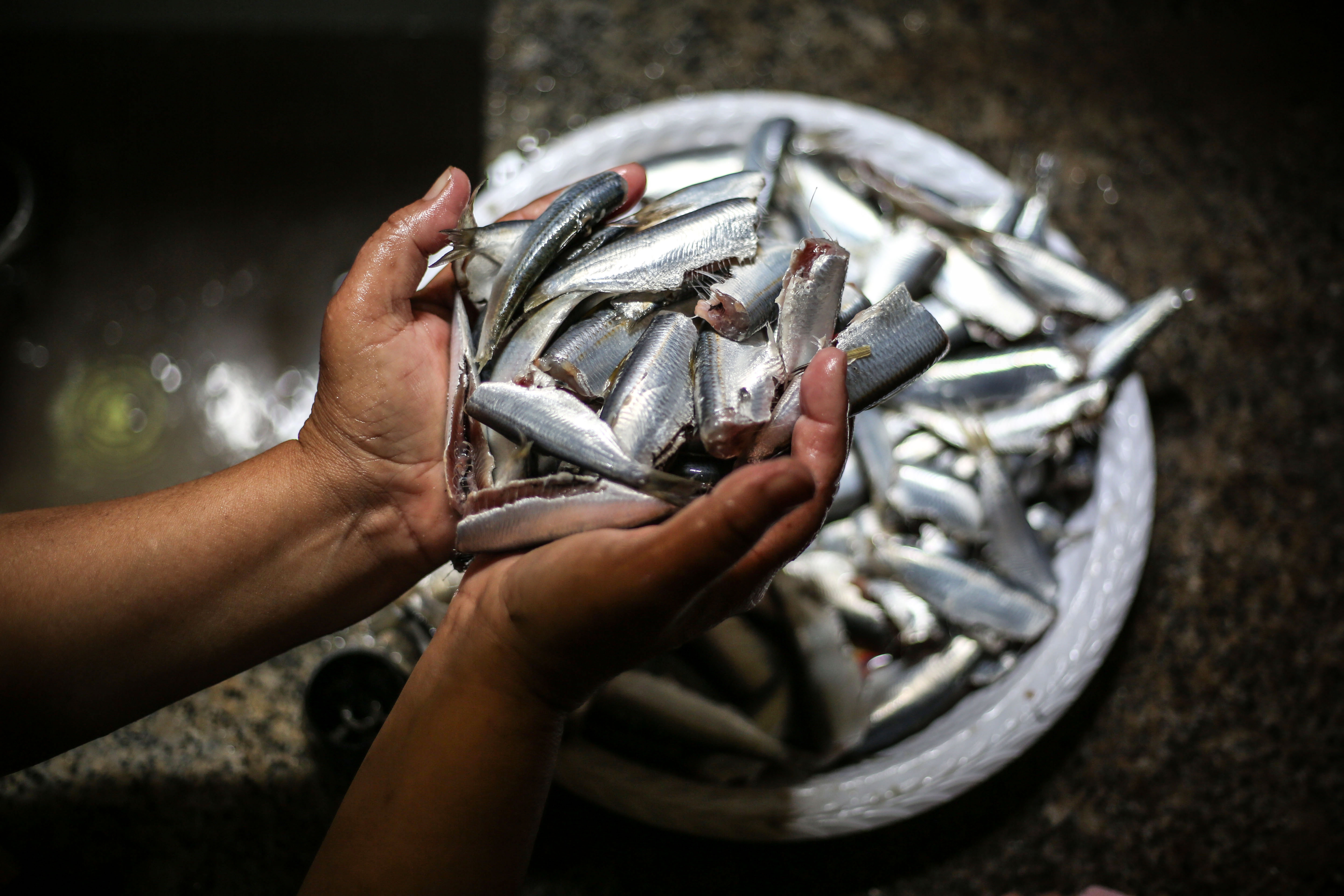 Sardines should be plentiful in the sea at this time of the year