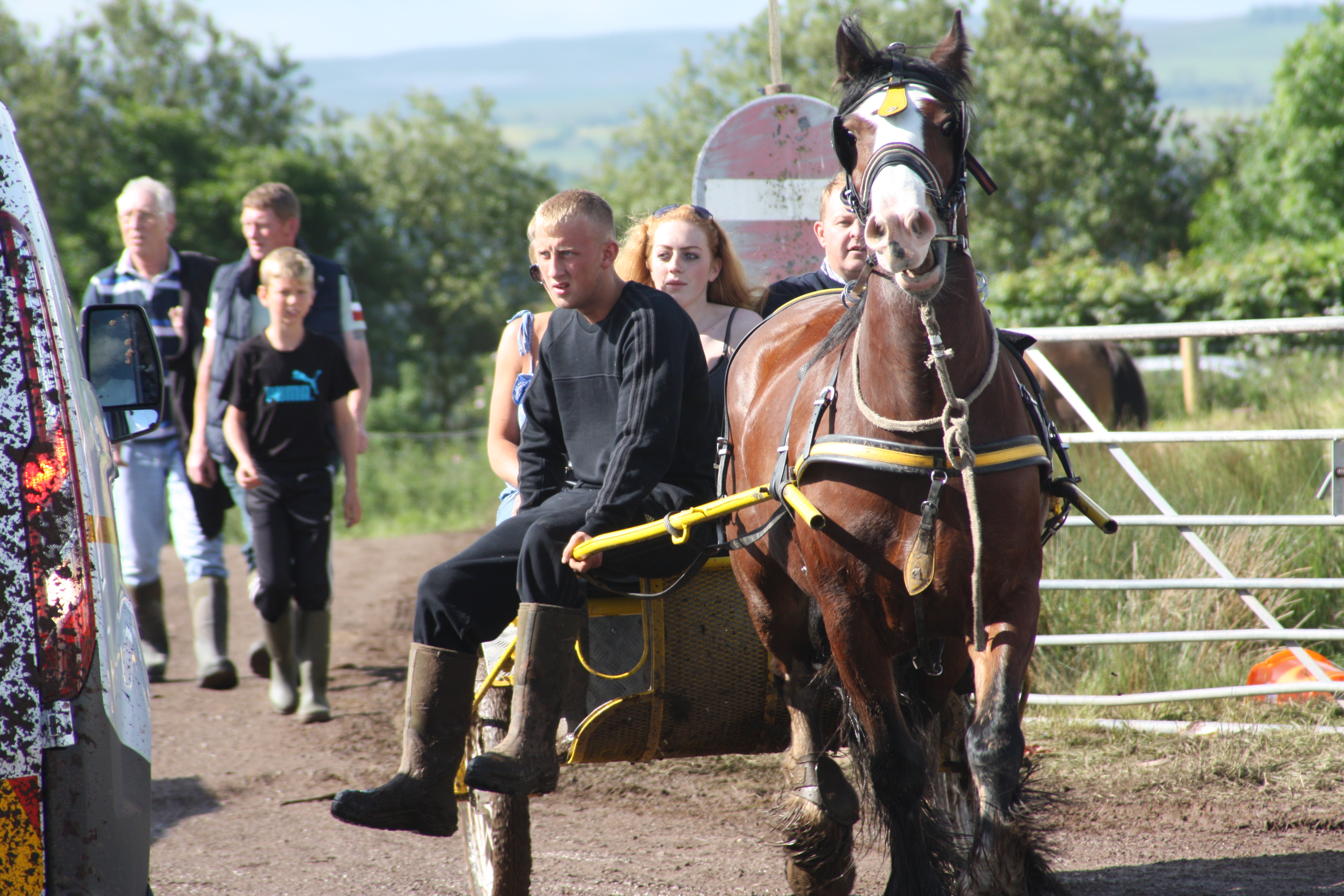 A Traveller man shows off his horse's paces 