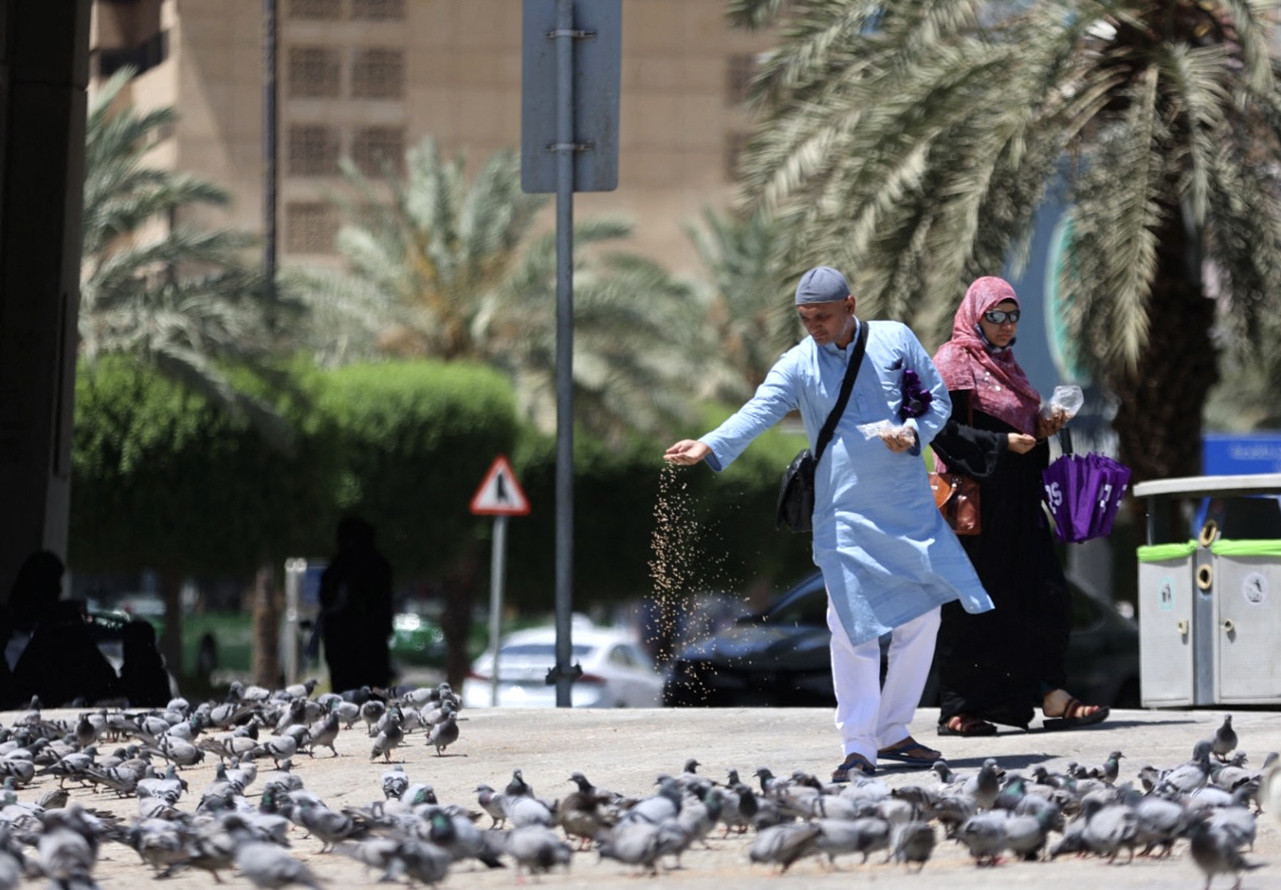 Muslim pilgrims feed pigeons in the holy city of Mecca days before the Hajj begins on July 6 [AFP]