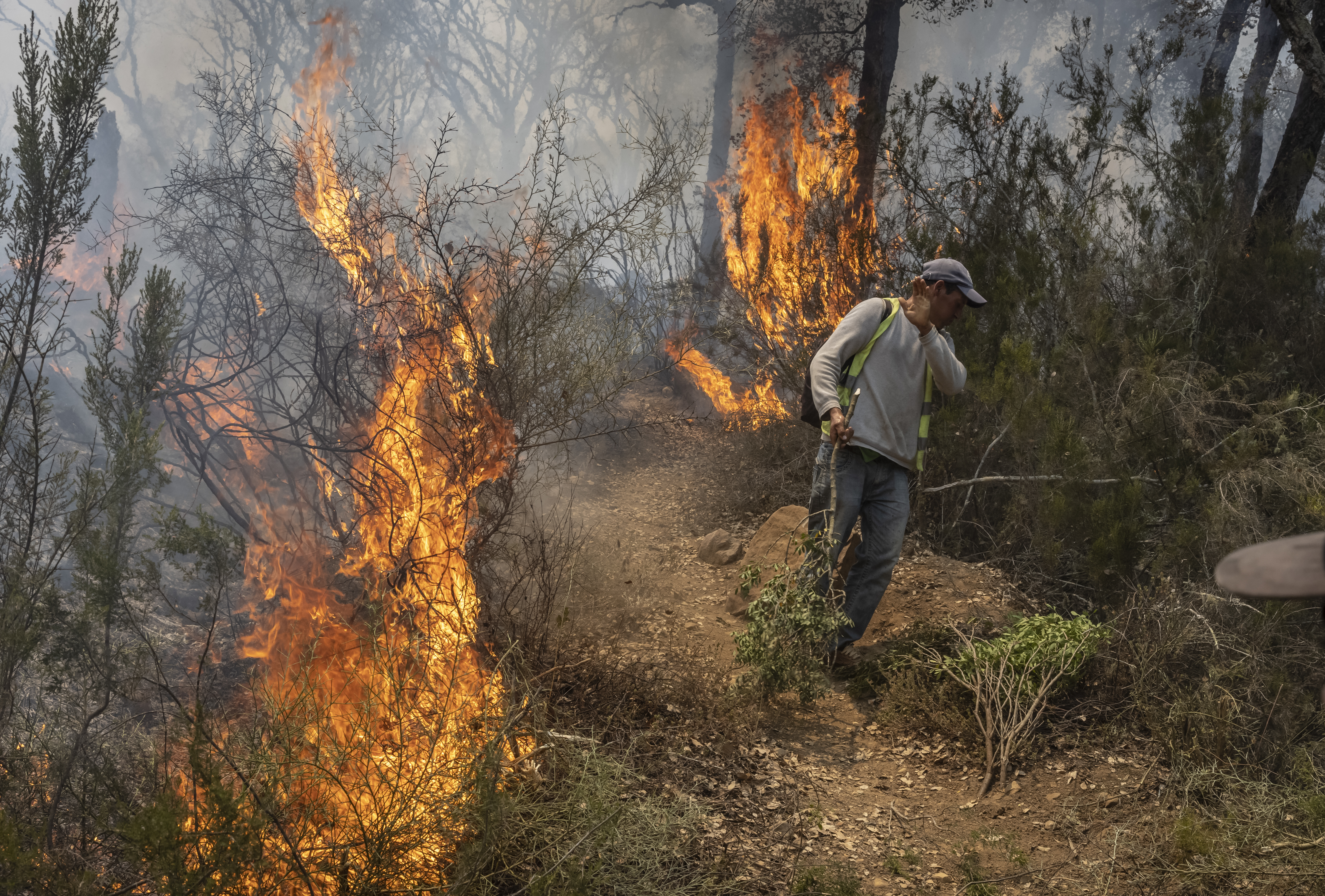 A villager reacts as a forest fire rages near Ksar el-Kebir in the Larache region