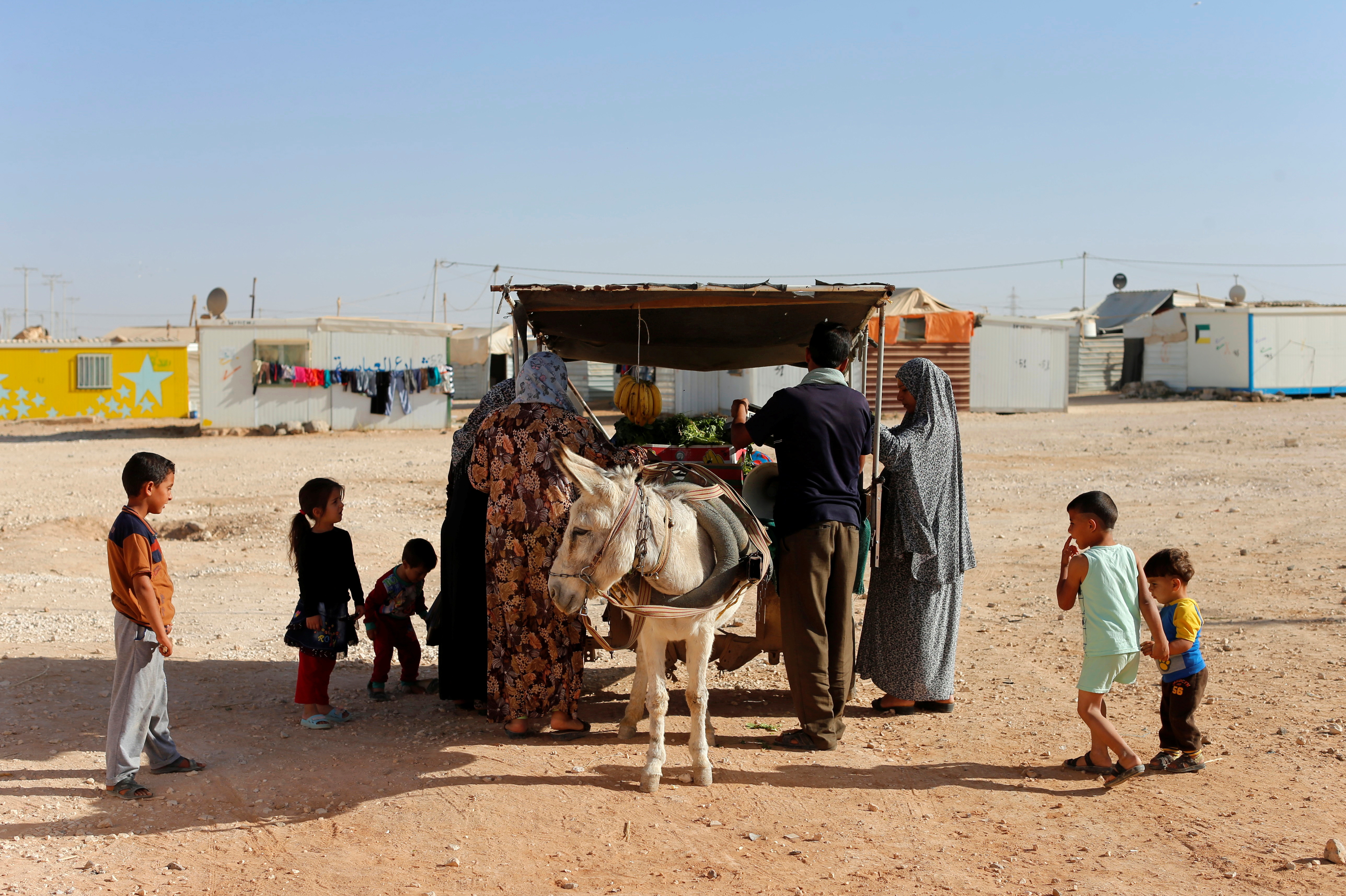 Syrian refugees buy vegetables and fruits displayed on a donkey cart in Zaatari refugee camp, October 14, 2016