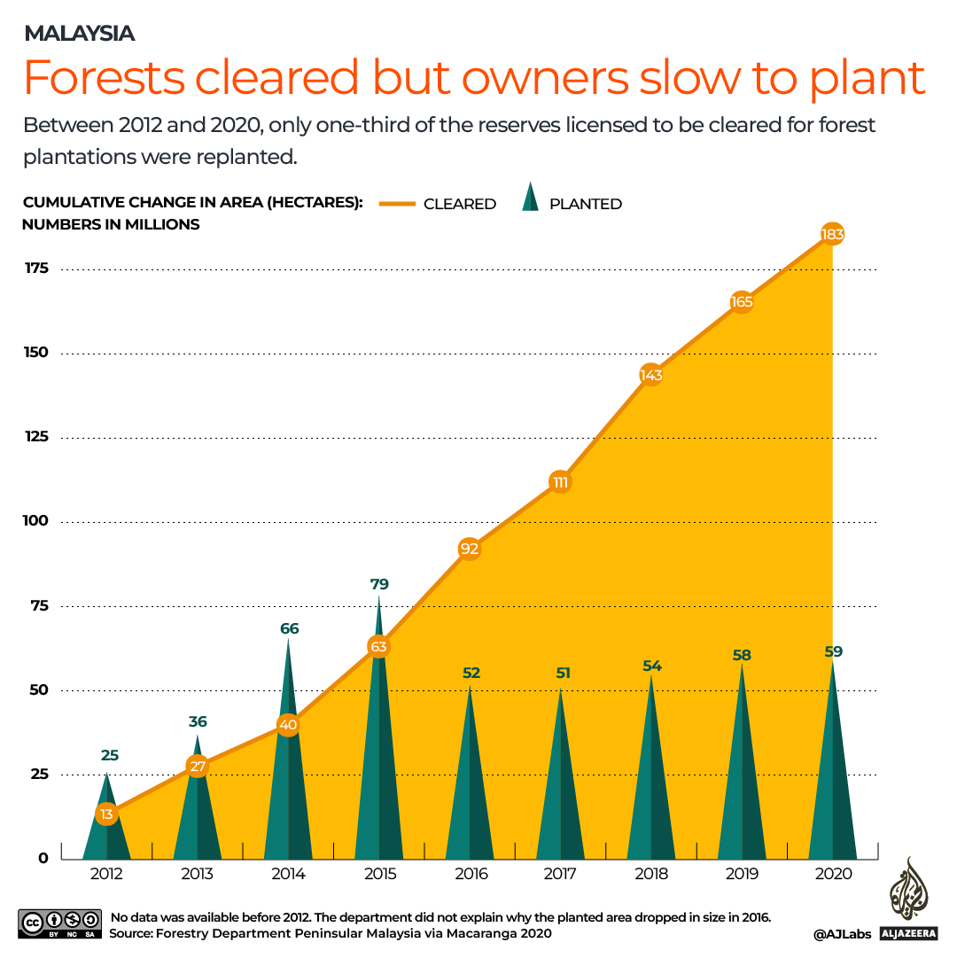 INTERACTIVE_MALAYSIA_TREE_PLANTATION_JULY18_2022_1