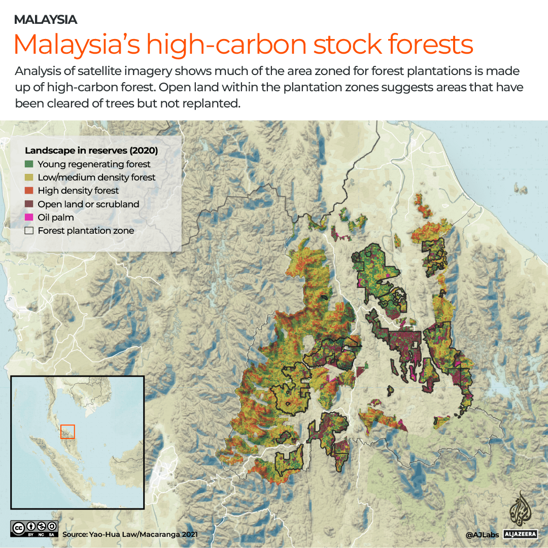 INTERACTIVE_MALAYSIA_TREE_PLANTATION_JULY18_2022_3