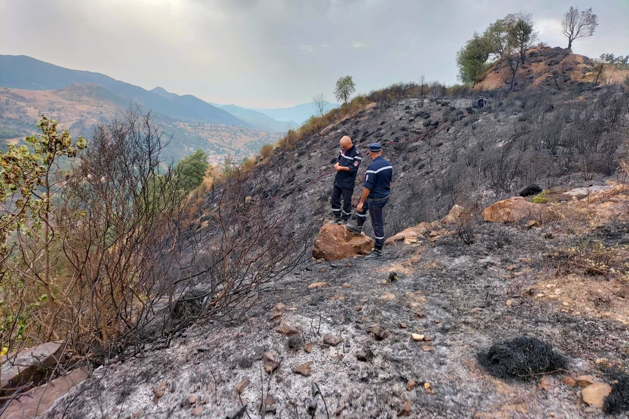 Firefighters after the scene of a wildfire in Setif, Algeria