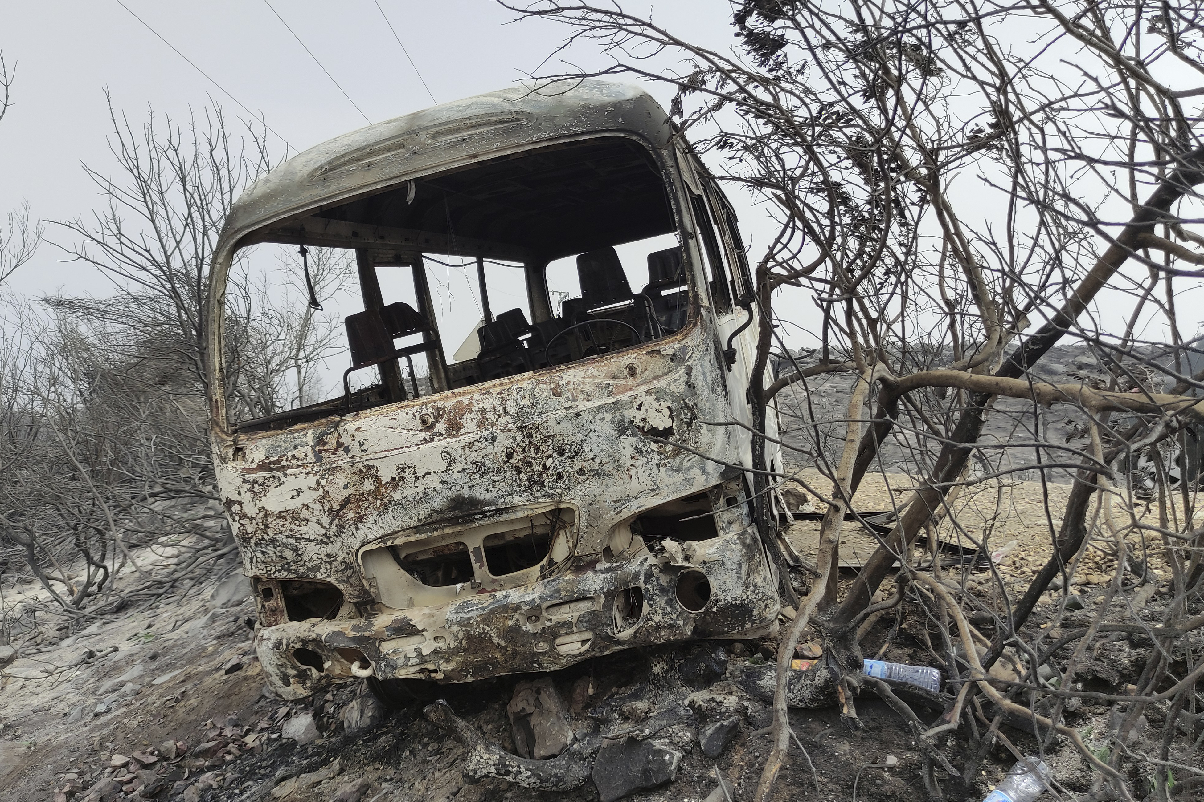 Algeria Wildfires