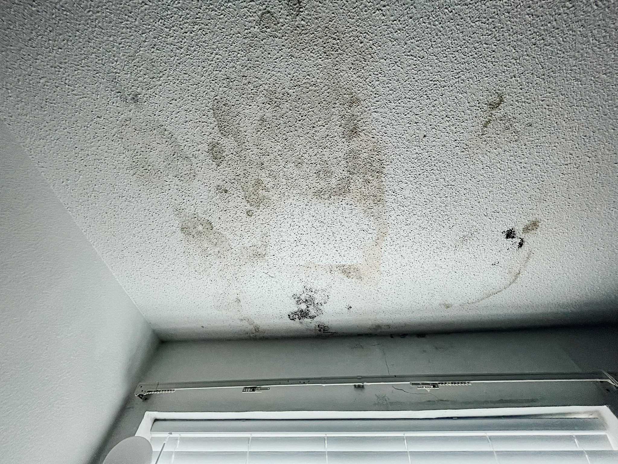 mould