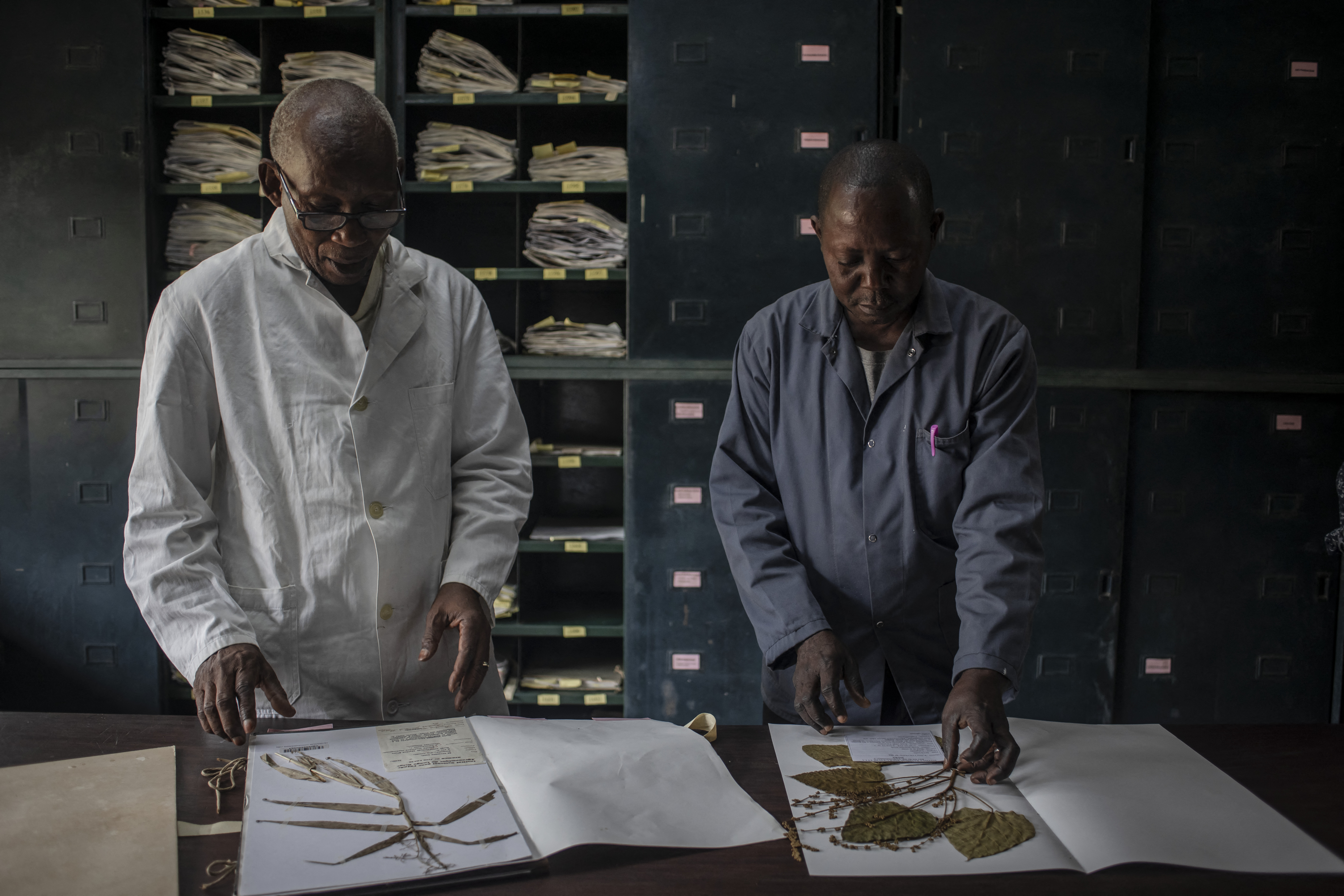 DRCONGO-ENVIRONMENT-CLIMATE-FORESTS