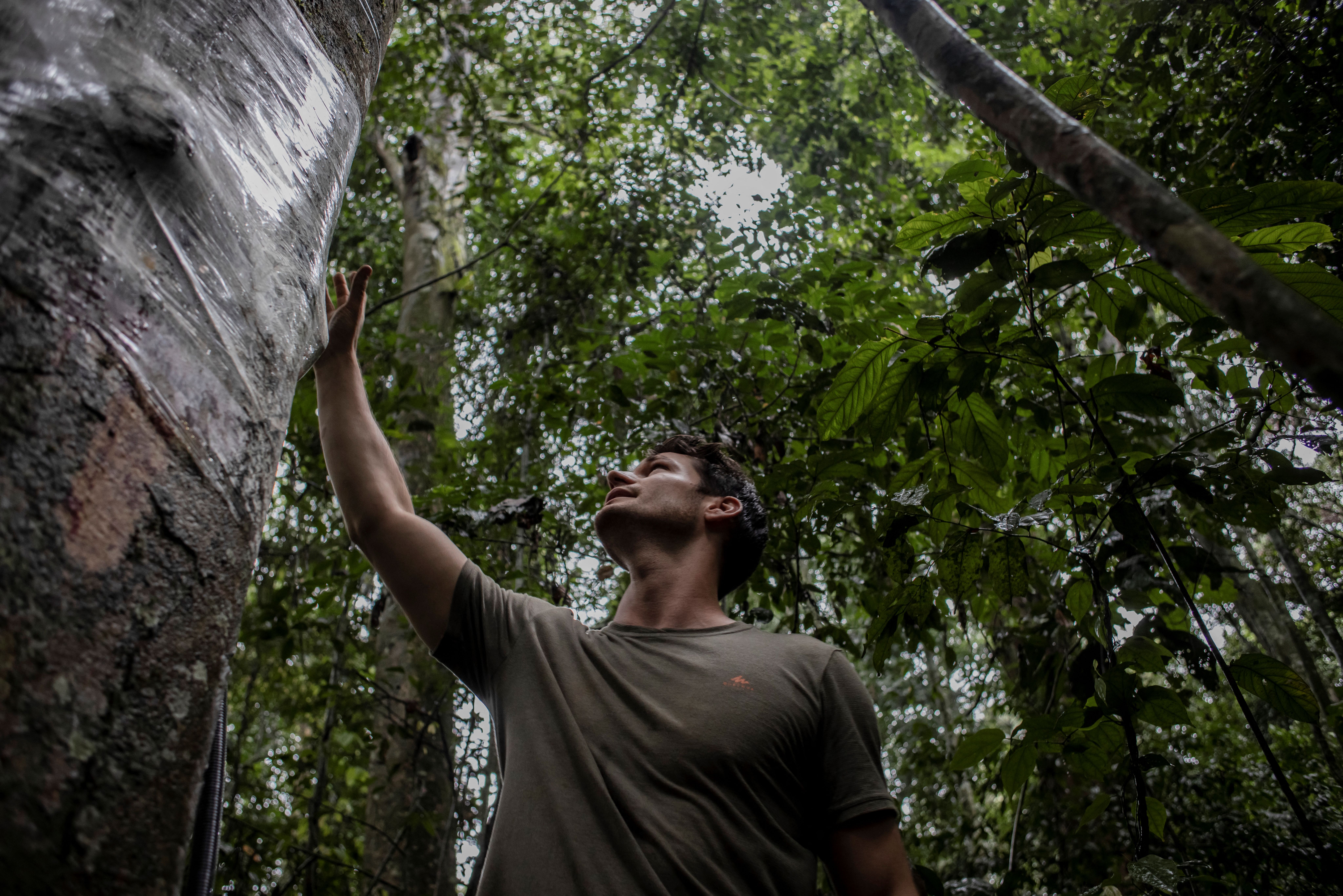 DRCONGO-ENVIRONMENT-CLIMATE-FORESTS
