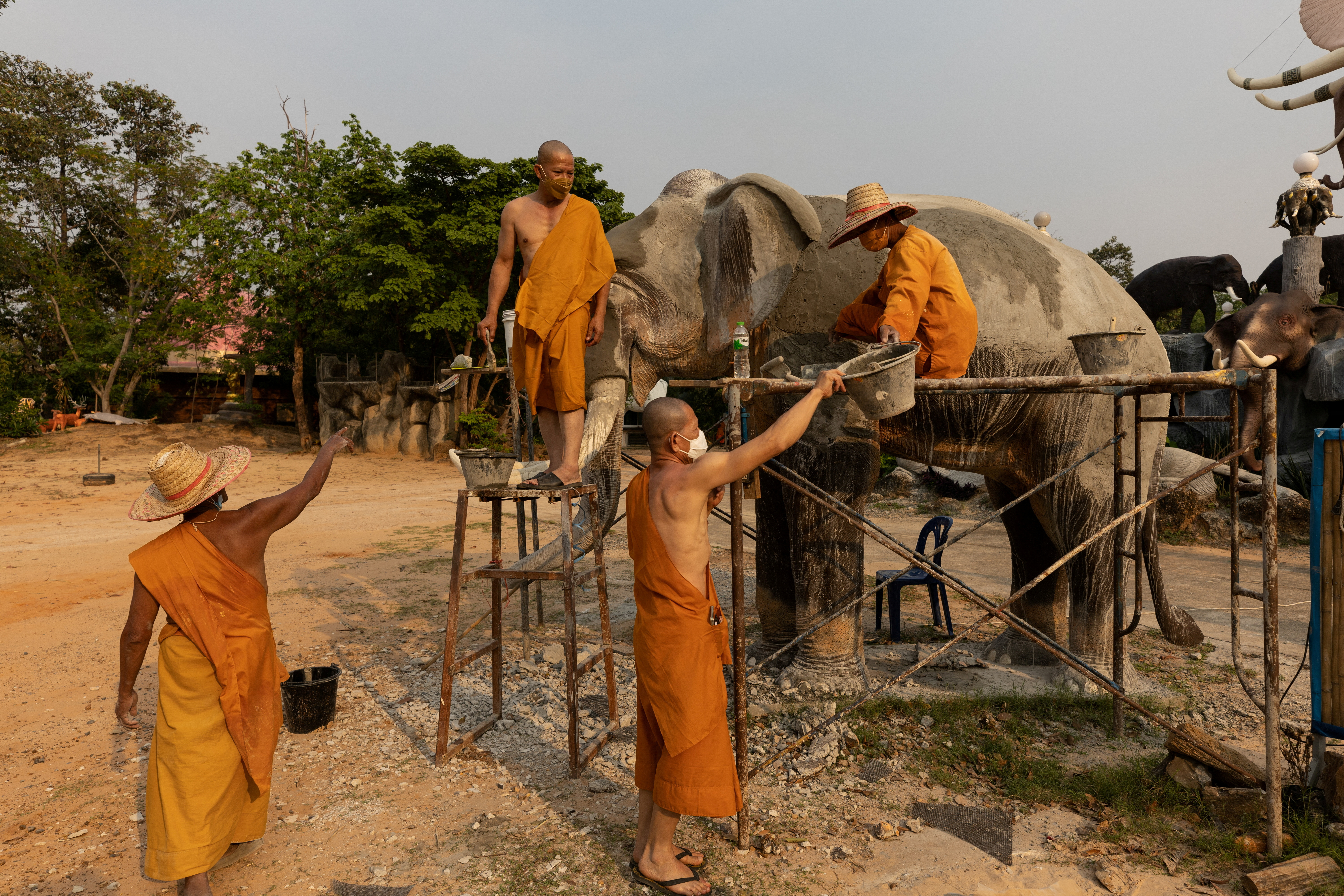 Thailand elephants